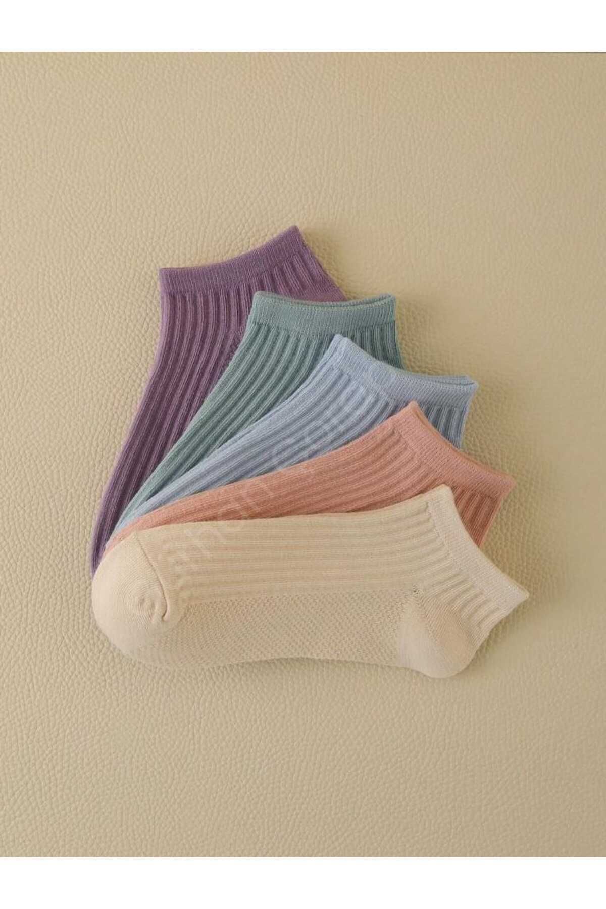 5 Pack Mixed Color Booties Socks Cotton Women's Sports Socks