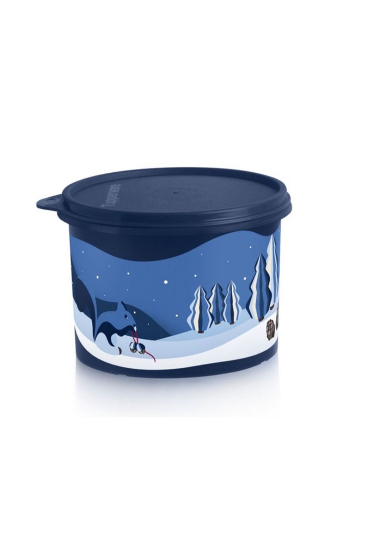 Tupperware-Refrigerator Container Set of 2 4