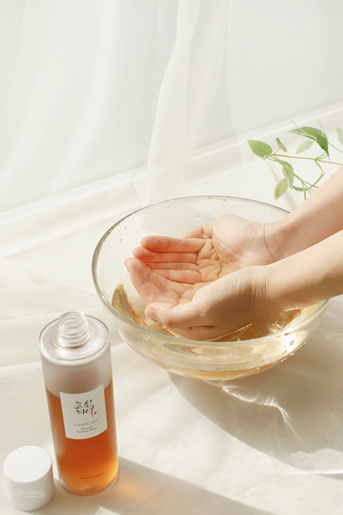 تونر جینسنگ ESSENCE WATER KORENDY احیا کننده جوهر 40 میل Beauty of Joseon