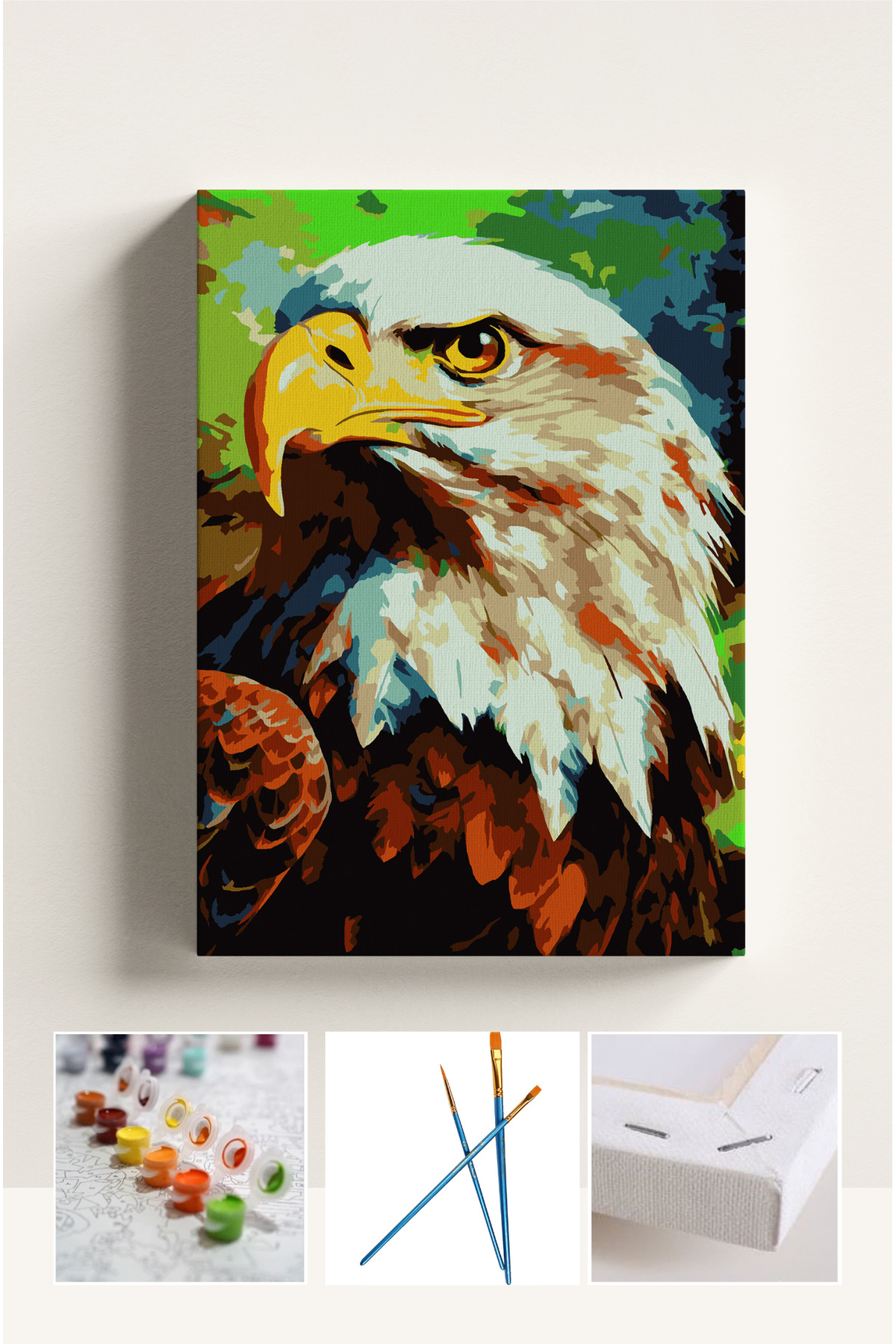 Corvo Painting by Numbers Framed Hobby Set Numbered Canvas Brush Paint