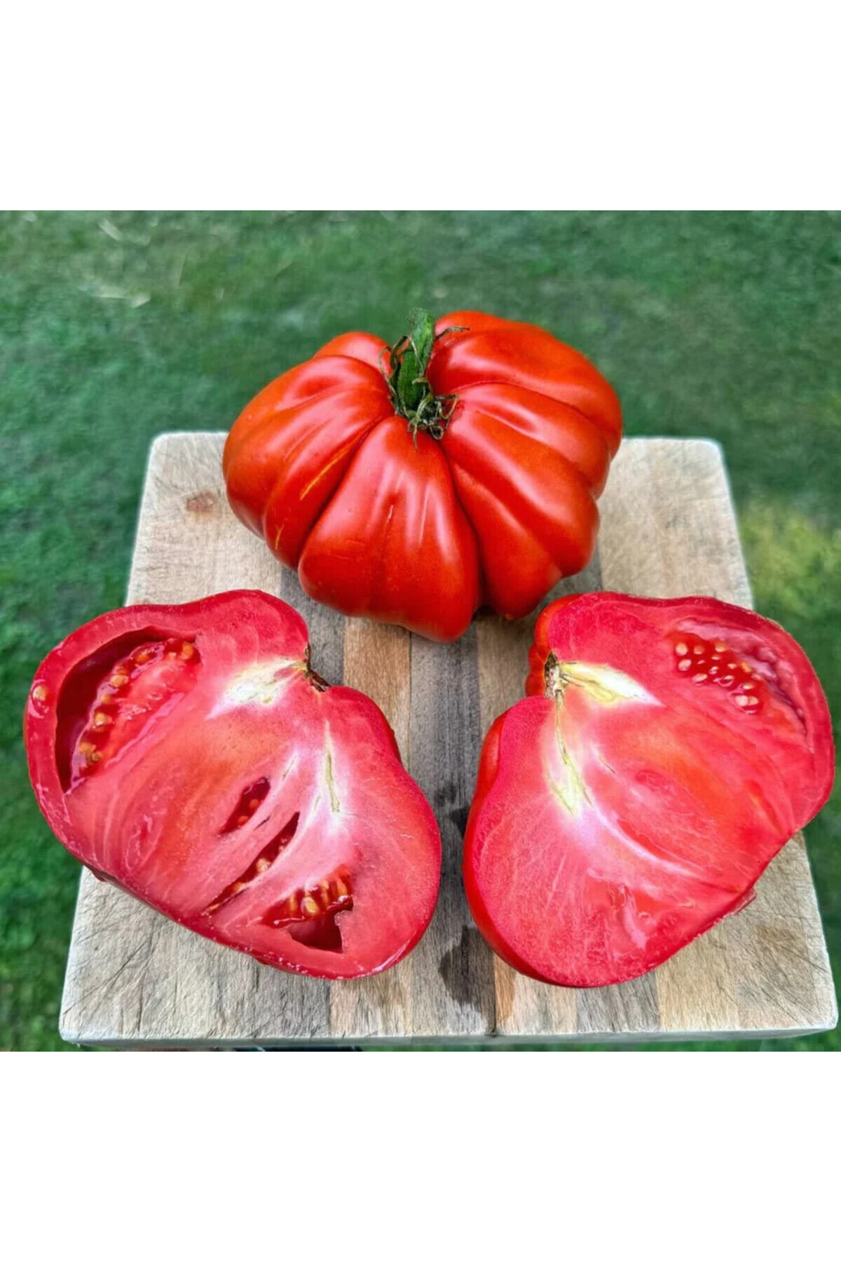 ZENGARDEN EV VE BAHÇE Yürek Domates Tohumu Atalık Italyan Cuor Di Bue Tomato