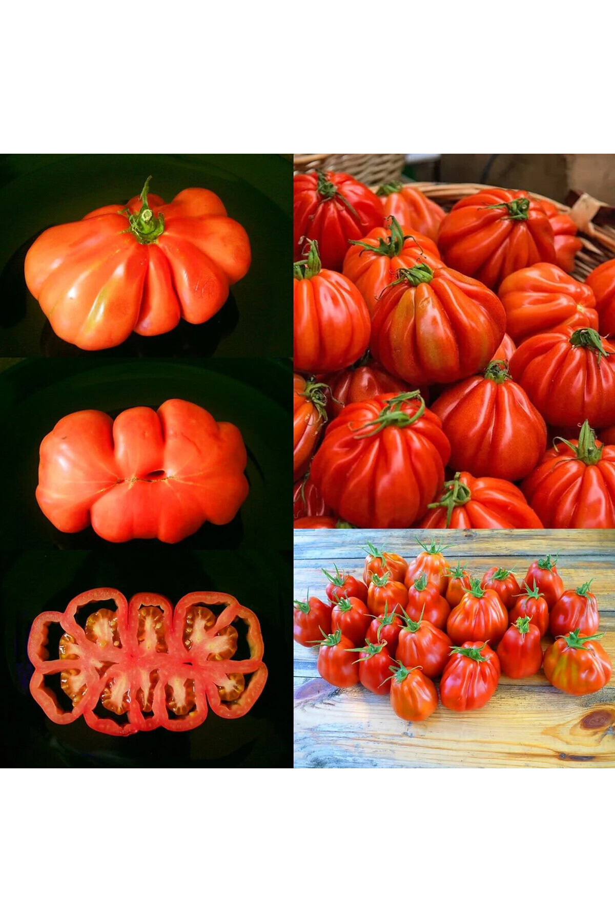 ZENGARDEN EV VE BAHÇE Yürek Domates Tohumu Atalık Italyan Cuor Di Bue Tomato