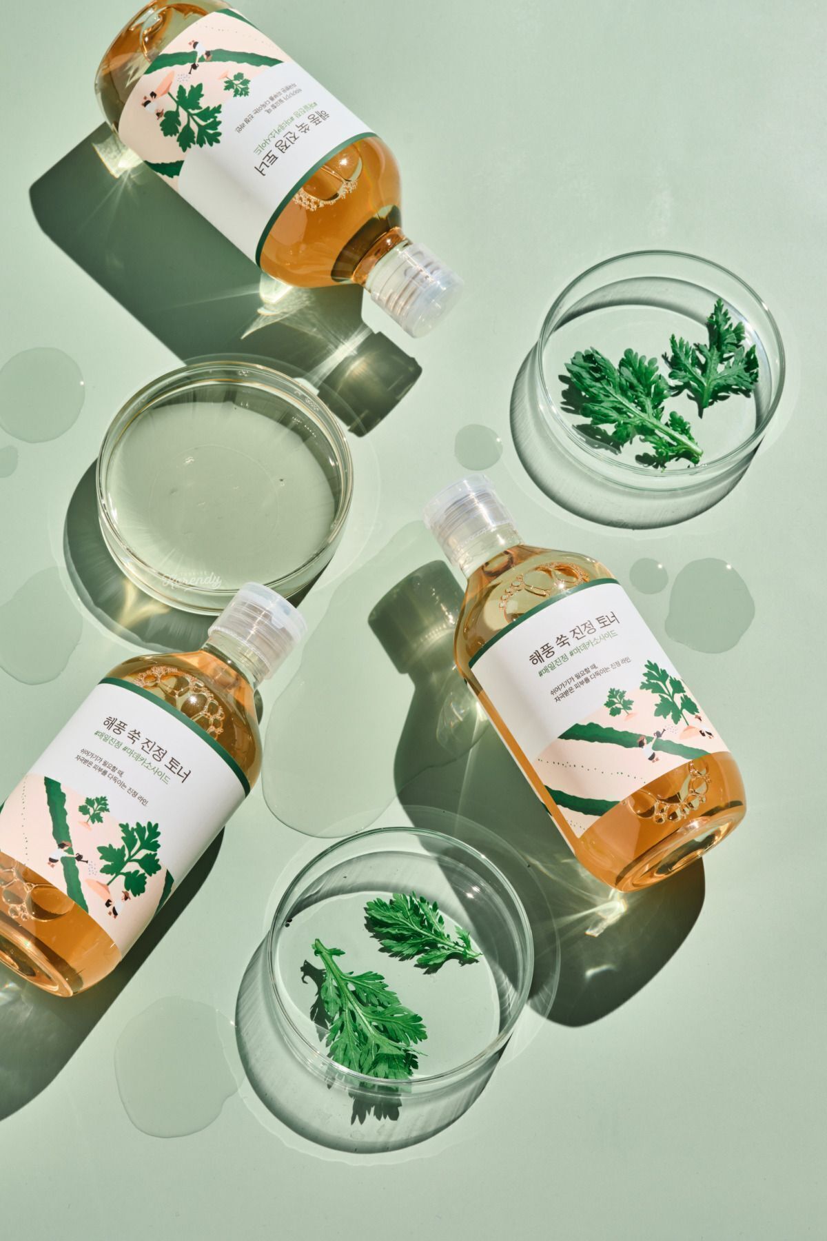 تونر MUGWORT CALING اورجینال Round Lab