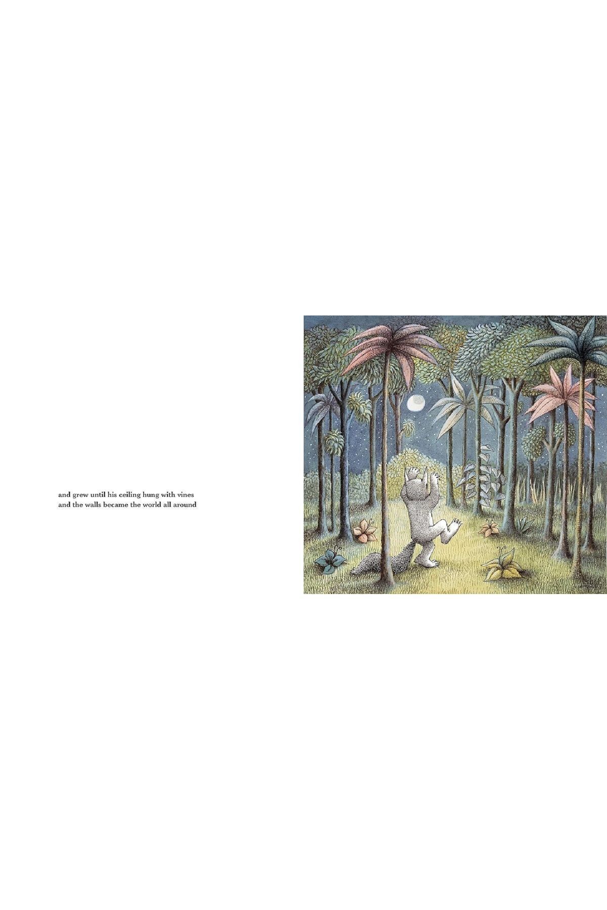 Red Fox-Maurice Sendak's 'Where The Wild Things Are' Book 5