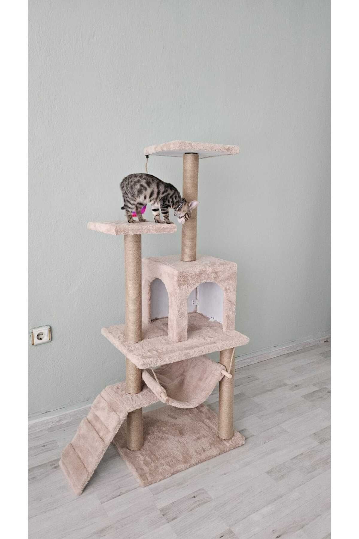 pethomealpi-Cat Scratching House and Play Platform - Convenient Use 1