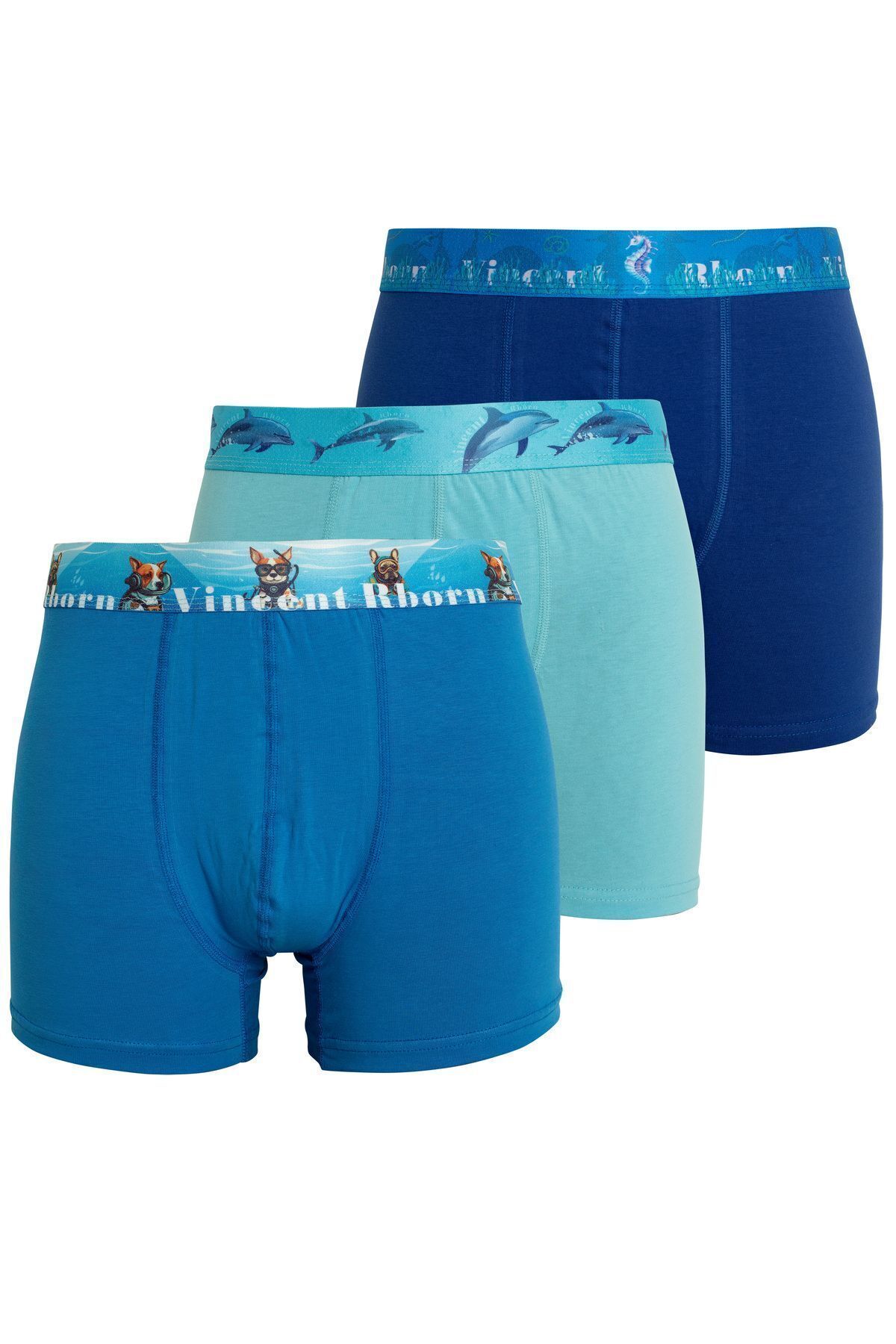 باکسر مردانه آبی Vincent Rborn | SCBA2023 اورجینال - تصویر 2