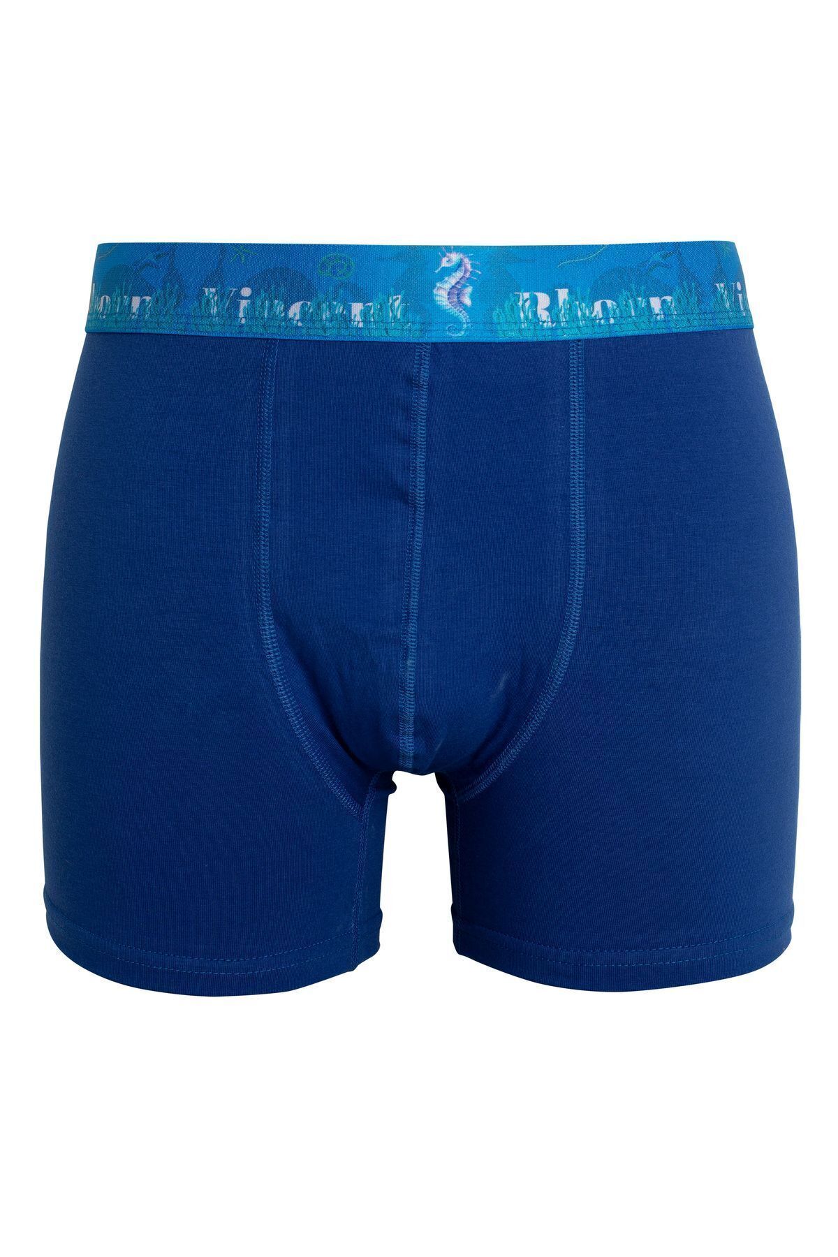 باکسر مردانه آبی Vincent Rborn | SCBA2023 اورجینال - تصویر 5