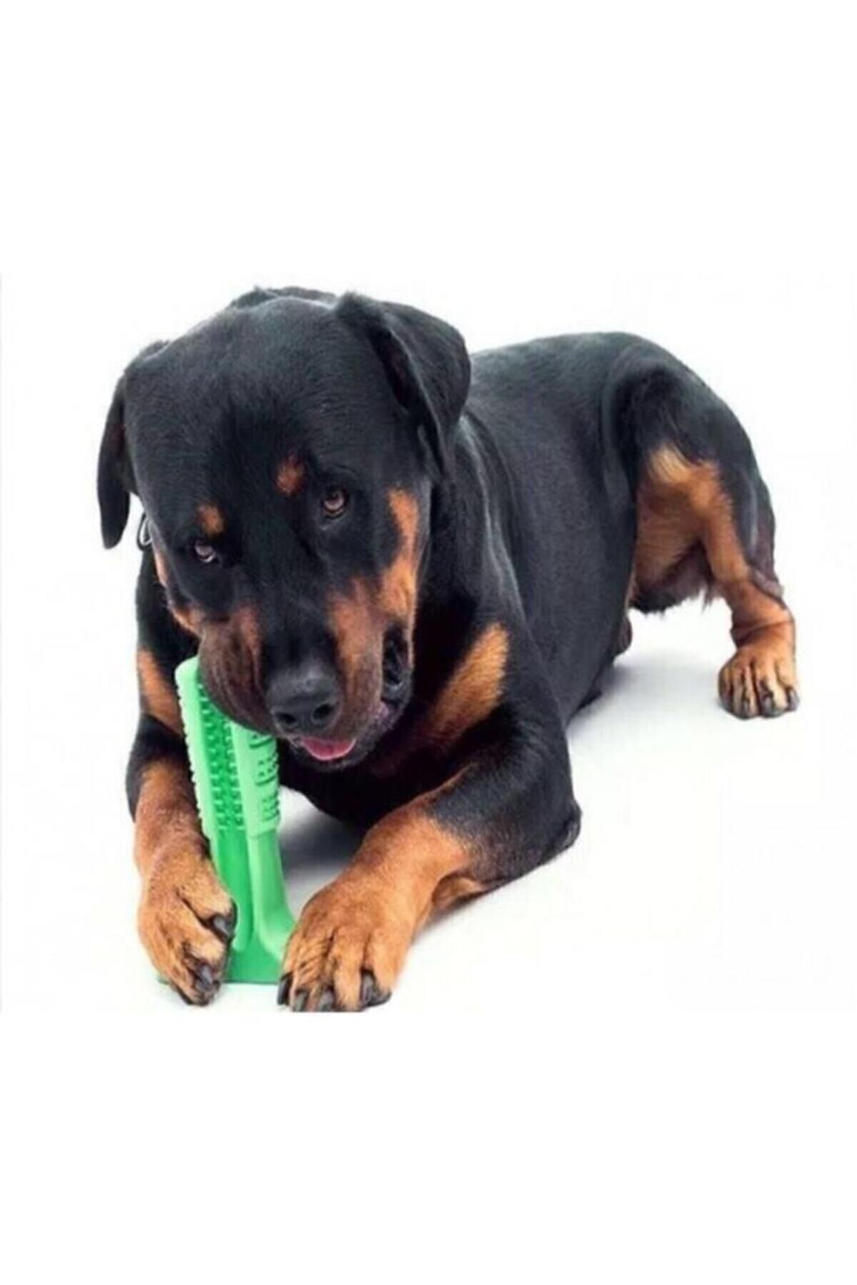 CMT-Small Dog Toothbrush - Biting Apparatus 3