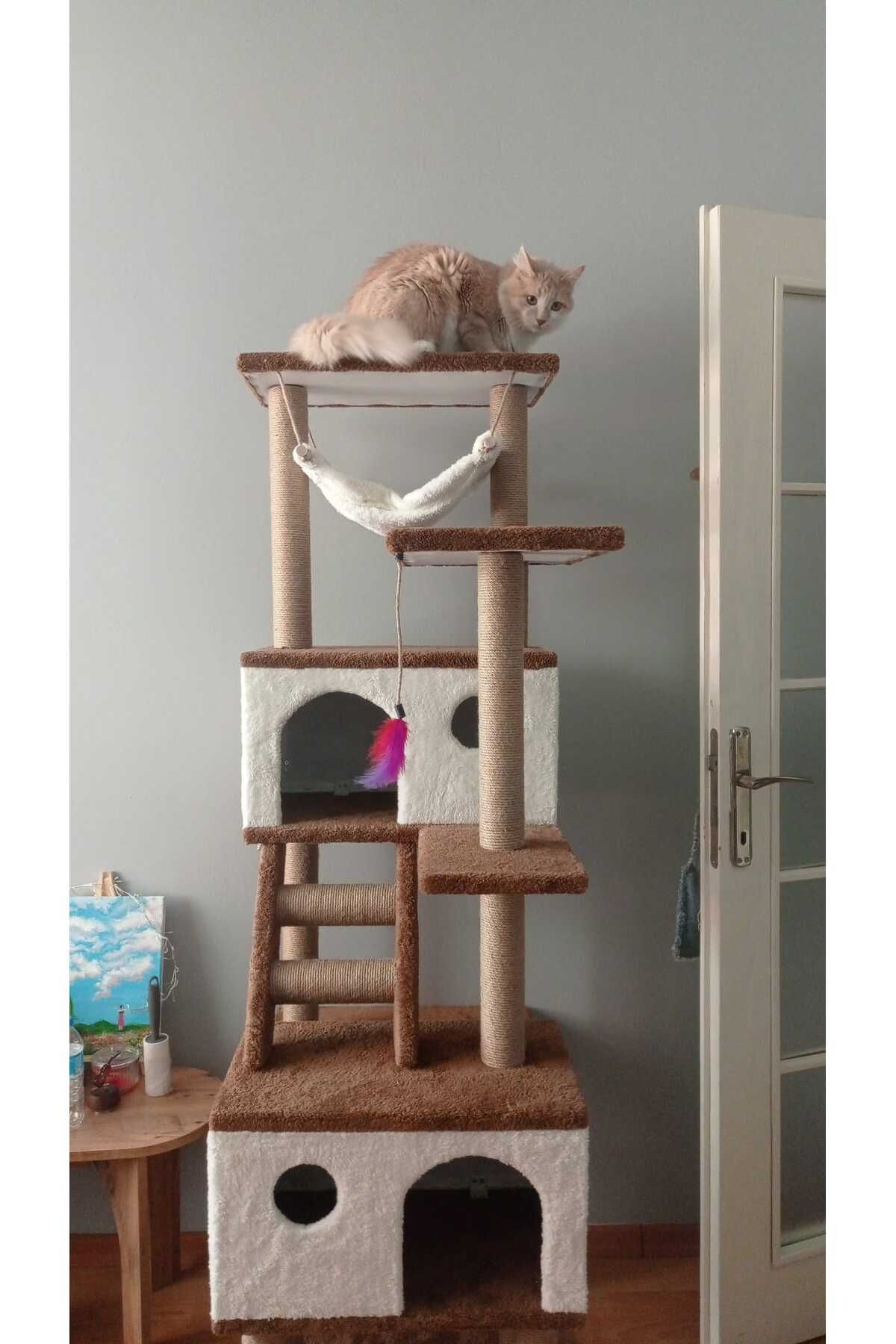 pethomealpi-Luxury Cat Scratching House and Play Platform - with Hammock and Nest 2