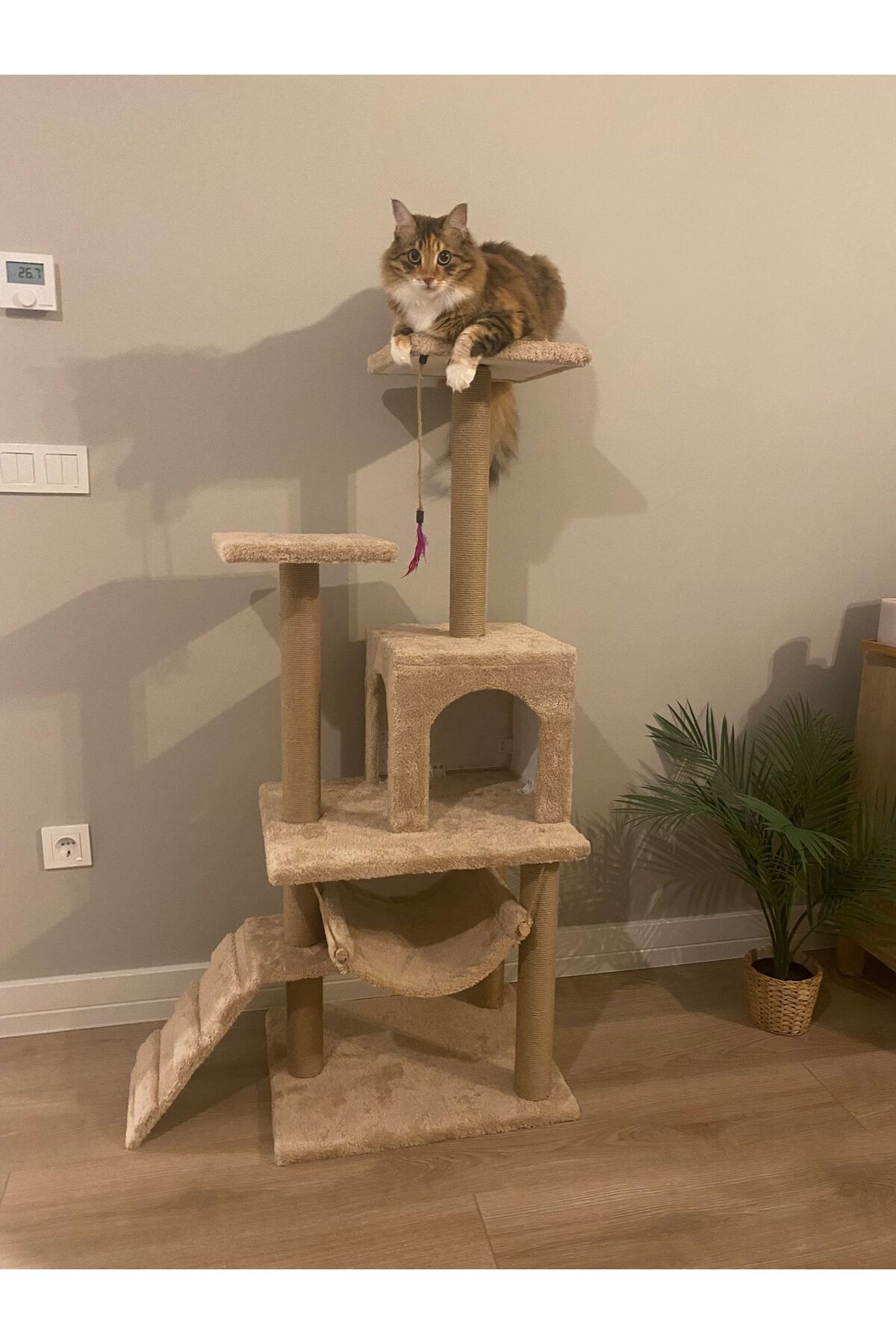 pethomealpi-Luxury Cat Scratching House and Play Platform - with Hammock and Nest 1