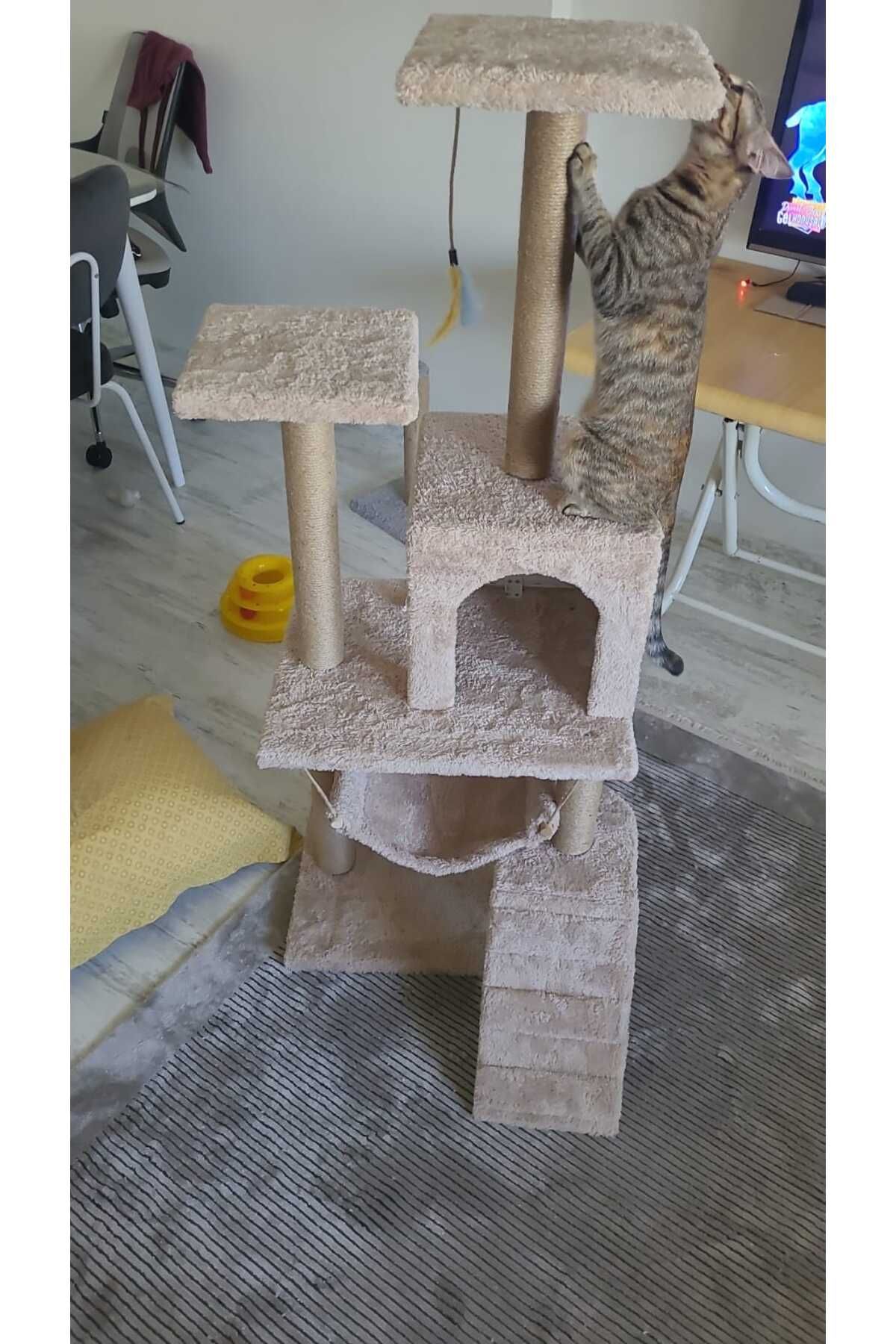 pethomealpi-Luxury Cat Scratching and Play Platform - with Hammock and Nest 3