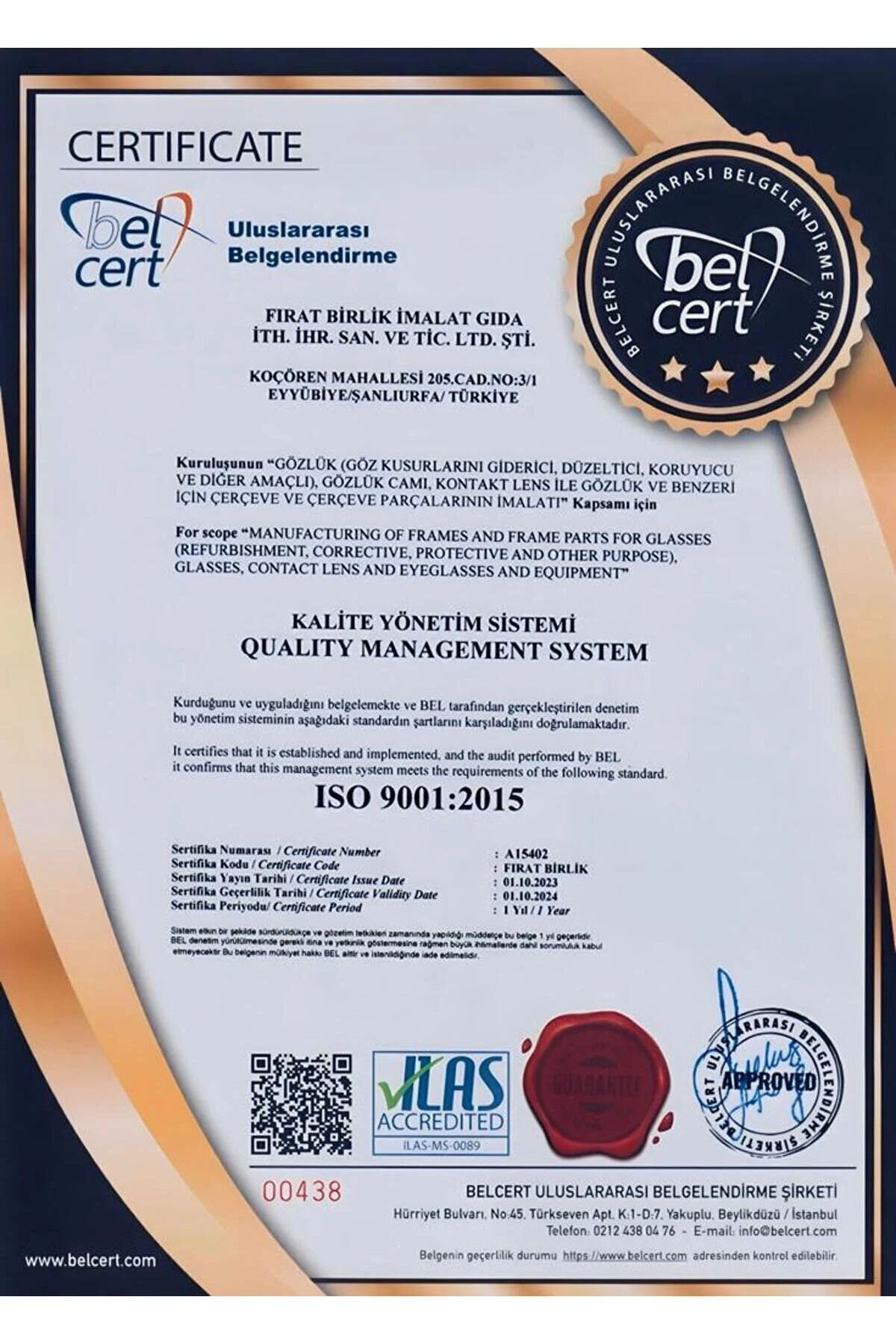Cat Eye Kadın Kadın Güneş Gözlüğü 3’lü Fırsat Seti 1009