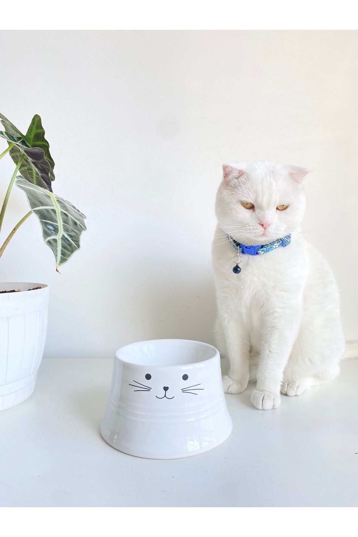 Seramik Kedi Ve Köpek Mama Su Kabı Colorful Moon Bowl (BEYAZ)