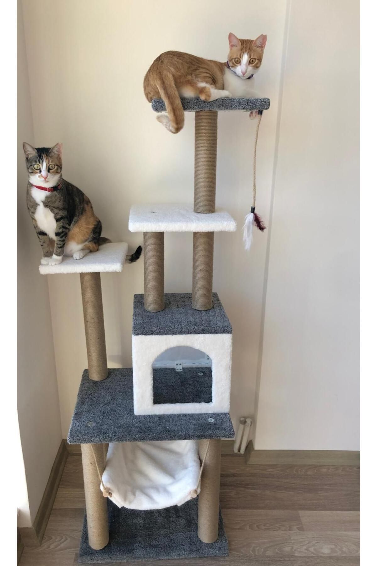 pethomealpi-Luxury Cat Scratching and Play Platform - with Hammock and Nest 1