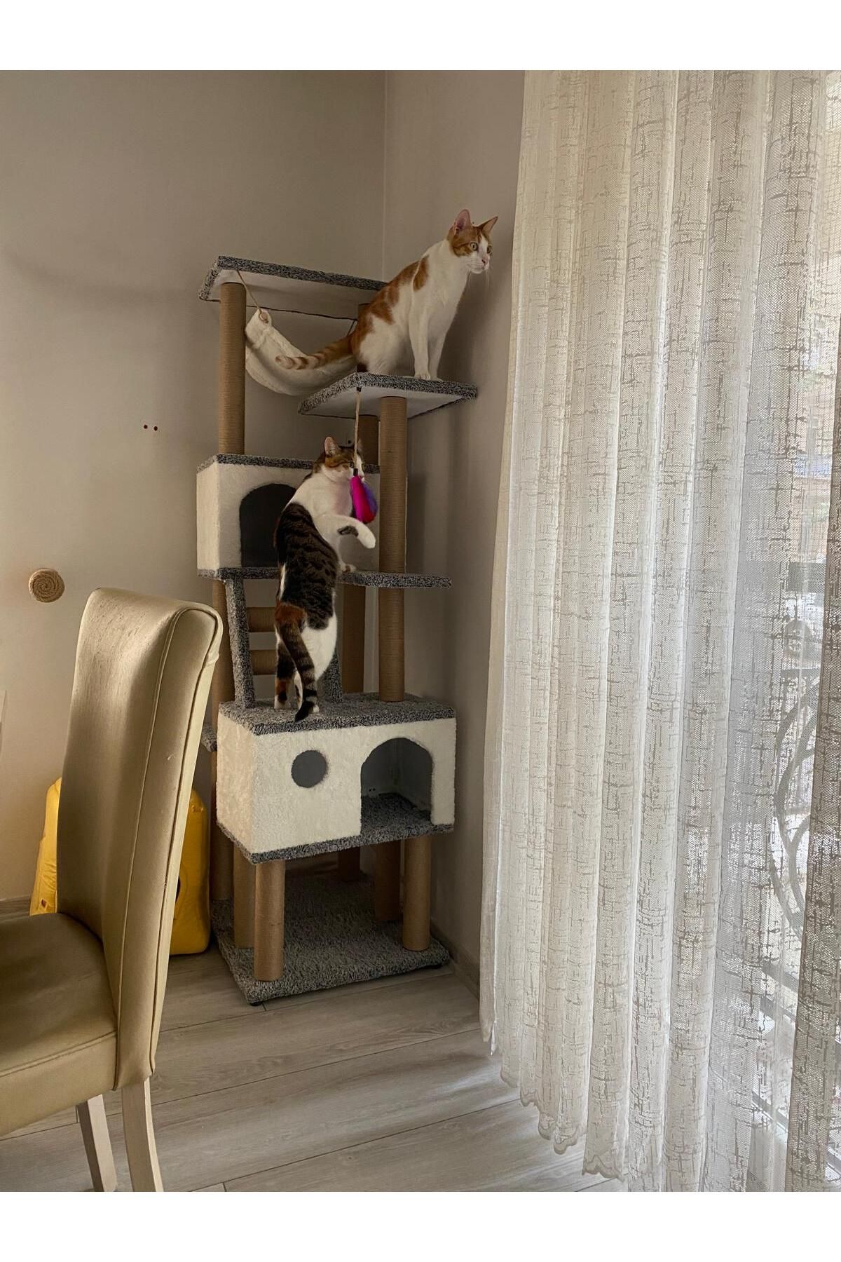 pethomealpi-Luxury Cat Scratching House and Play Platform - with Hammock and Nest 1