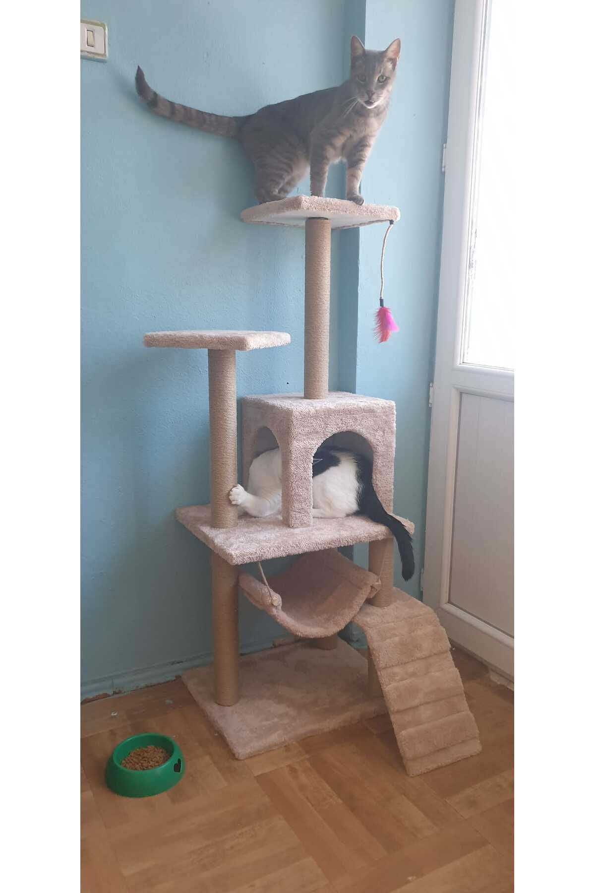pethomealpi-Luxury Cat Scratching House and Play Platform - with Hammock and Nest 3