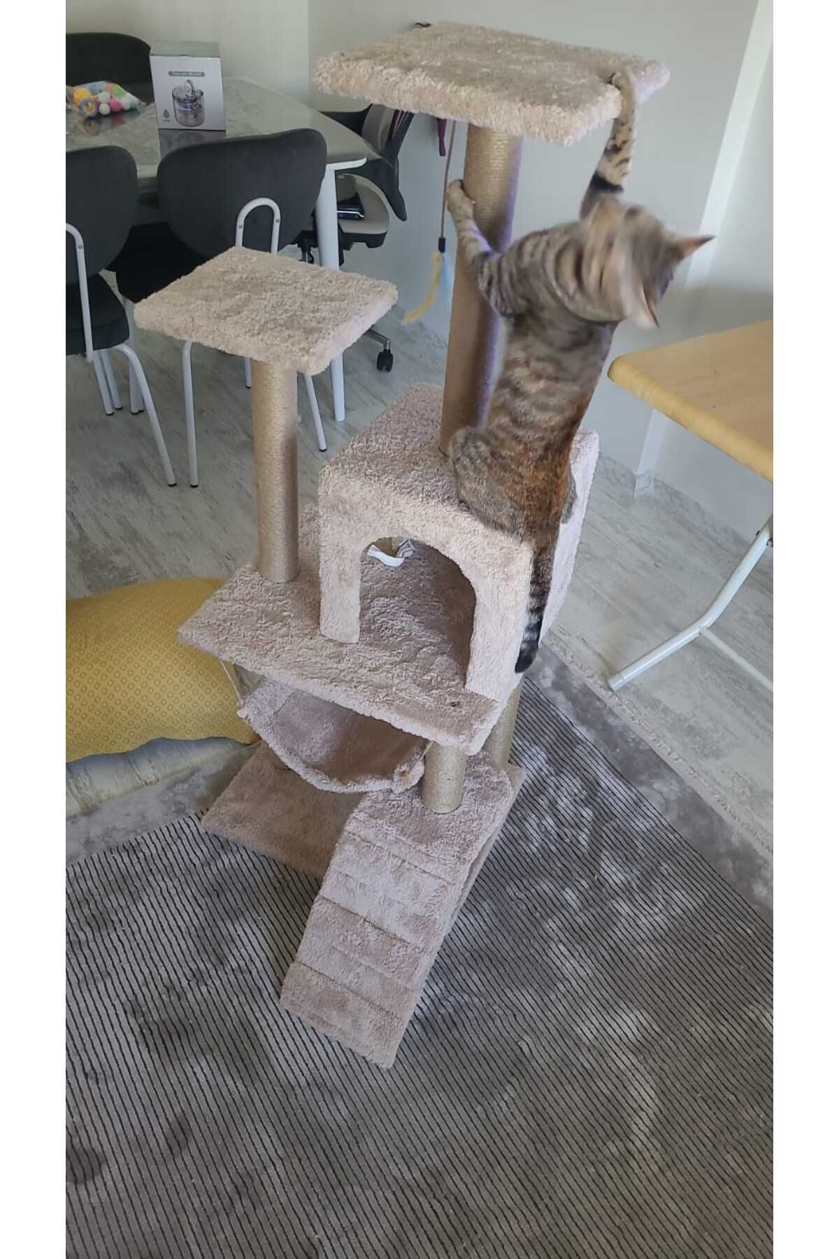 pethomealpi-Luxury Cat Scratching and Play Platform - with Hammock and Nest 4