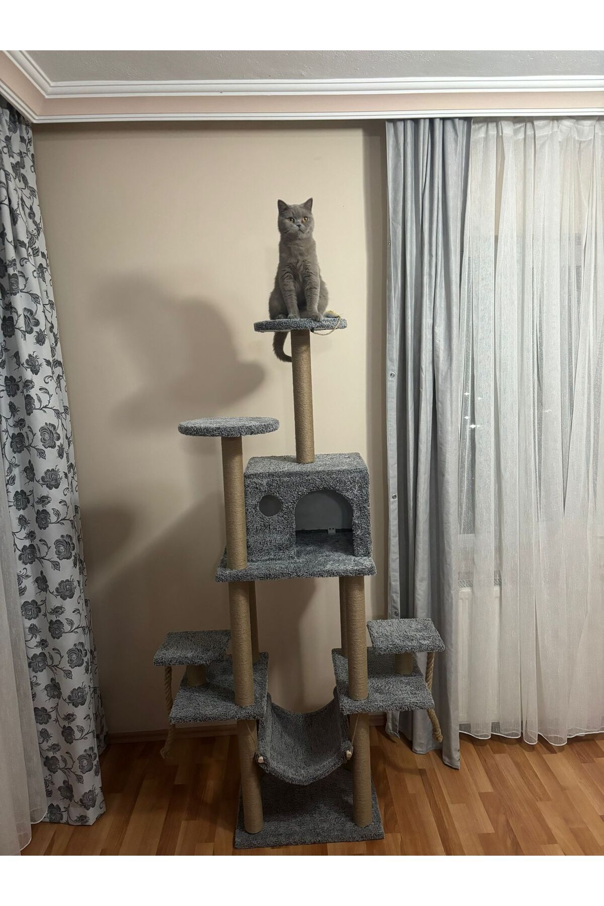 pethomealpi-Luxury Cat Scratching House and Play Platform - with Hammock and Nest 3