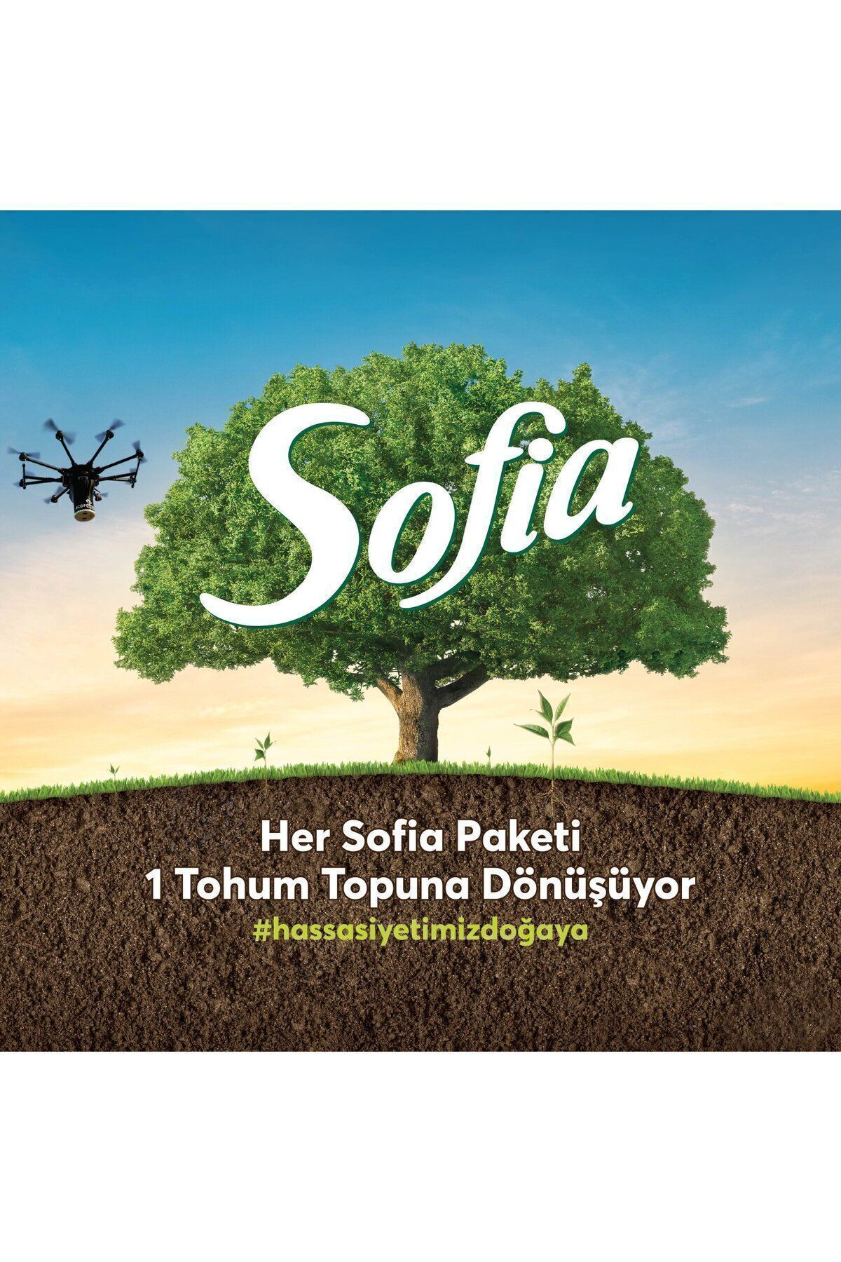 Sofia-Kitchen Towel 12 pcs 4