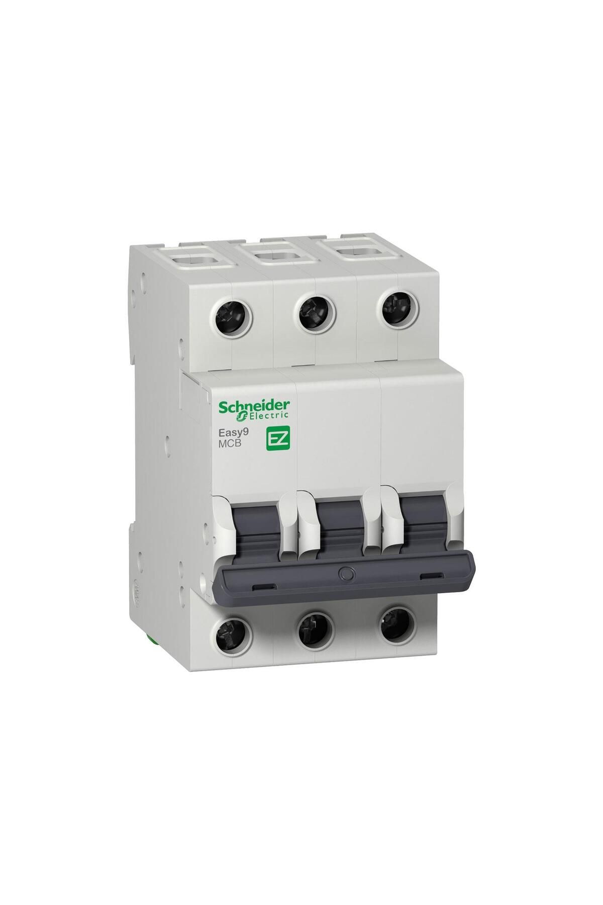 Schneider Electric-Schneider Easy9 3X40 Ampere 3Ka C Type Fuse Ez9F43340 1