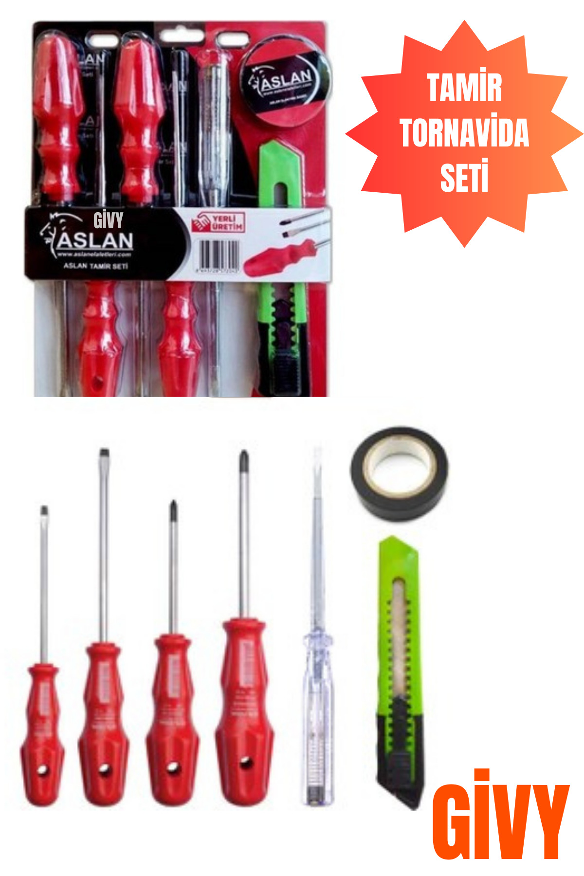 GİVY Aslan Tamir Tornavida Seti