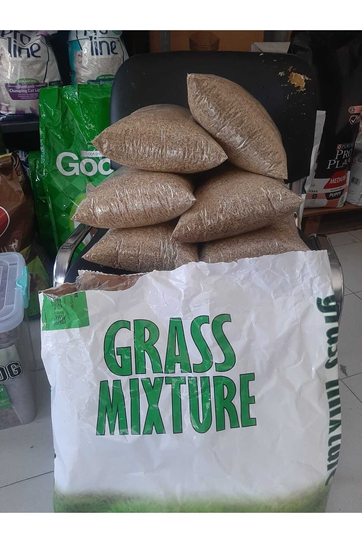 Grass Mixture 6-Piece Blend Open Pack Grass Seed 1kg