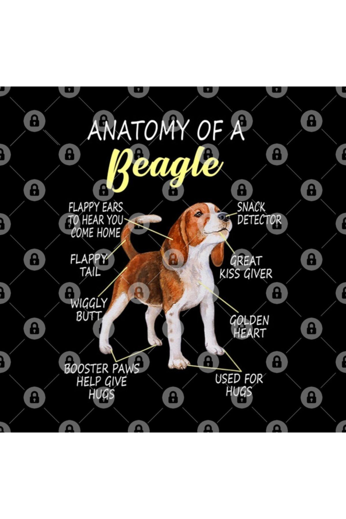 TatFast-Beagle Anatolu - Gift and Presentation Setting, t Mug 3