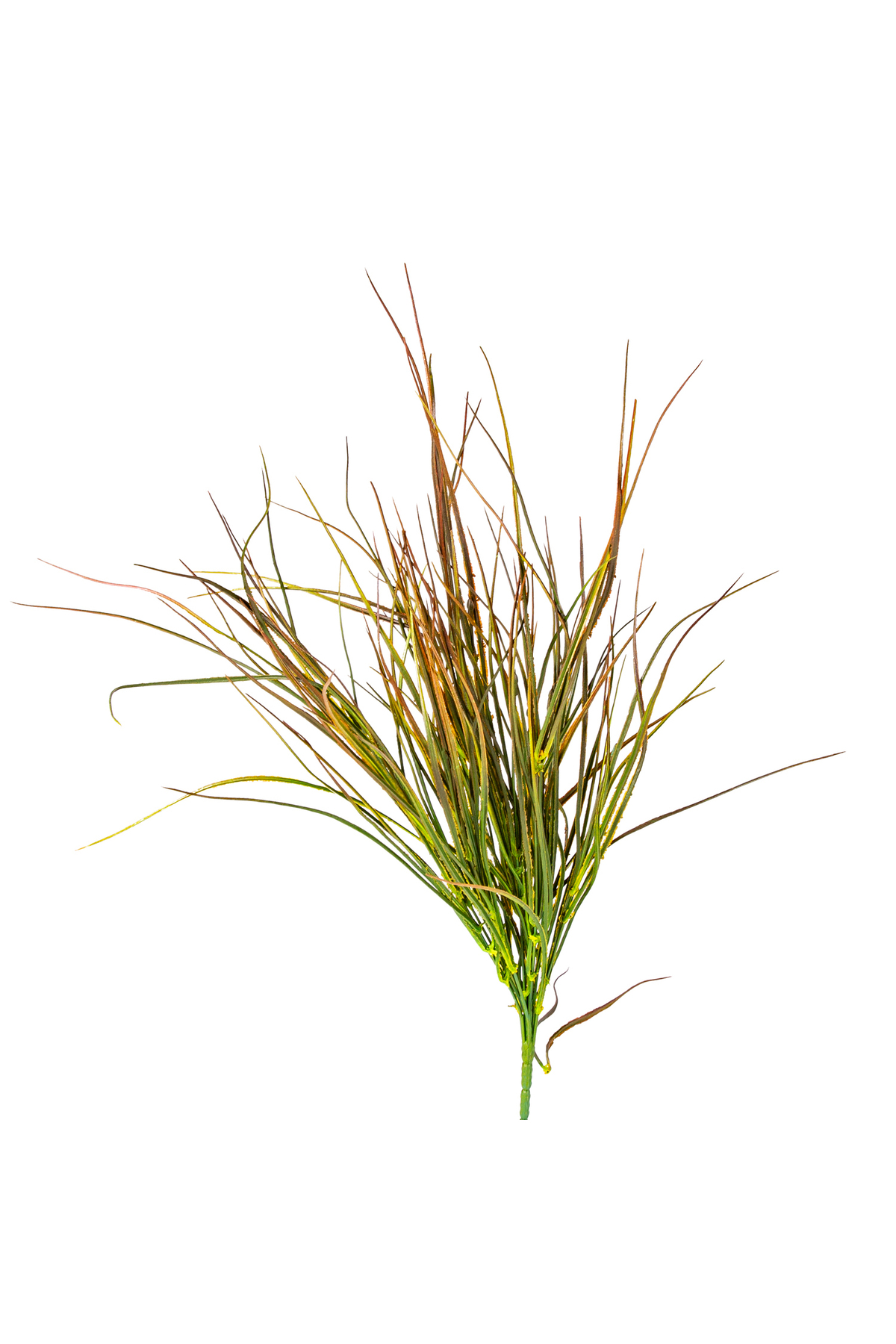 Artificial Reed Bundle Bright Red-green 55 Cm.