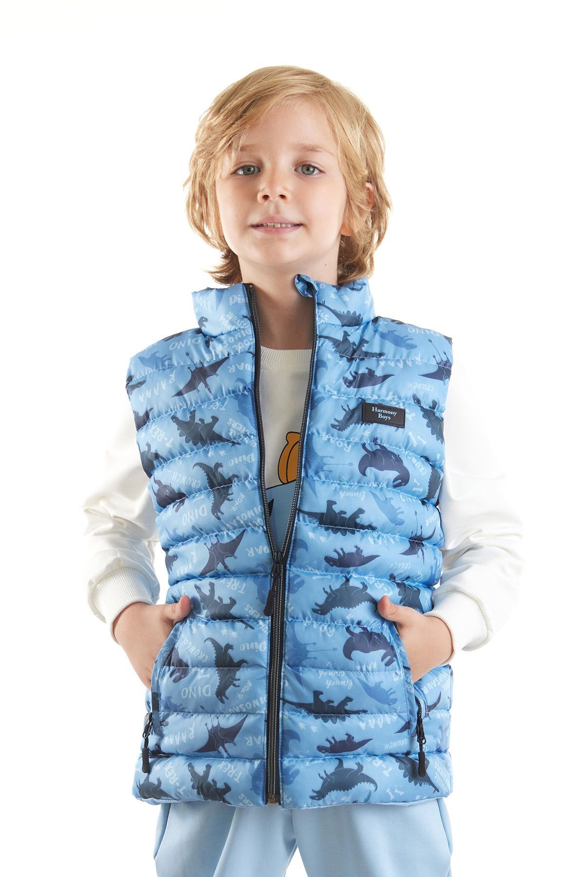 AHENG M Boy s Dino Printed Puffer Vest Ak 216061
