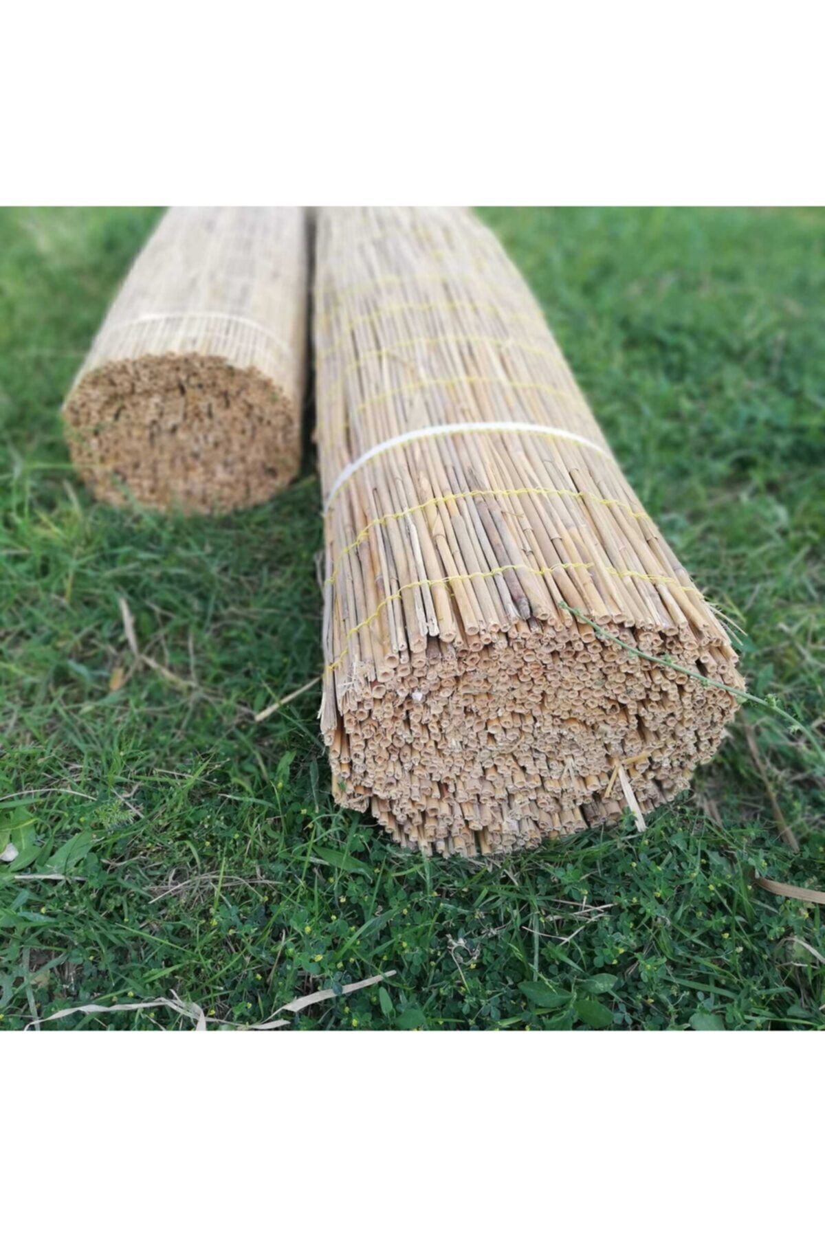 Kamış Hasır Kargı 2 X 5 - 5