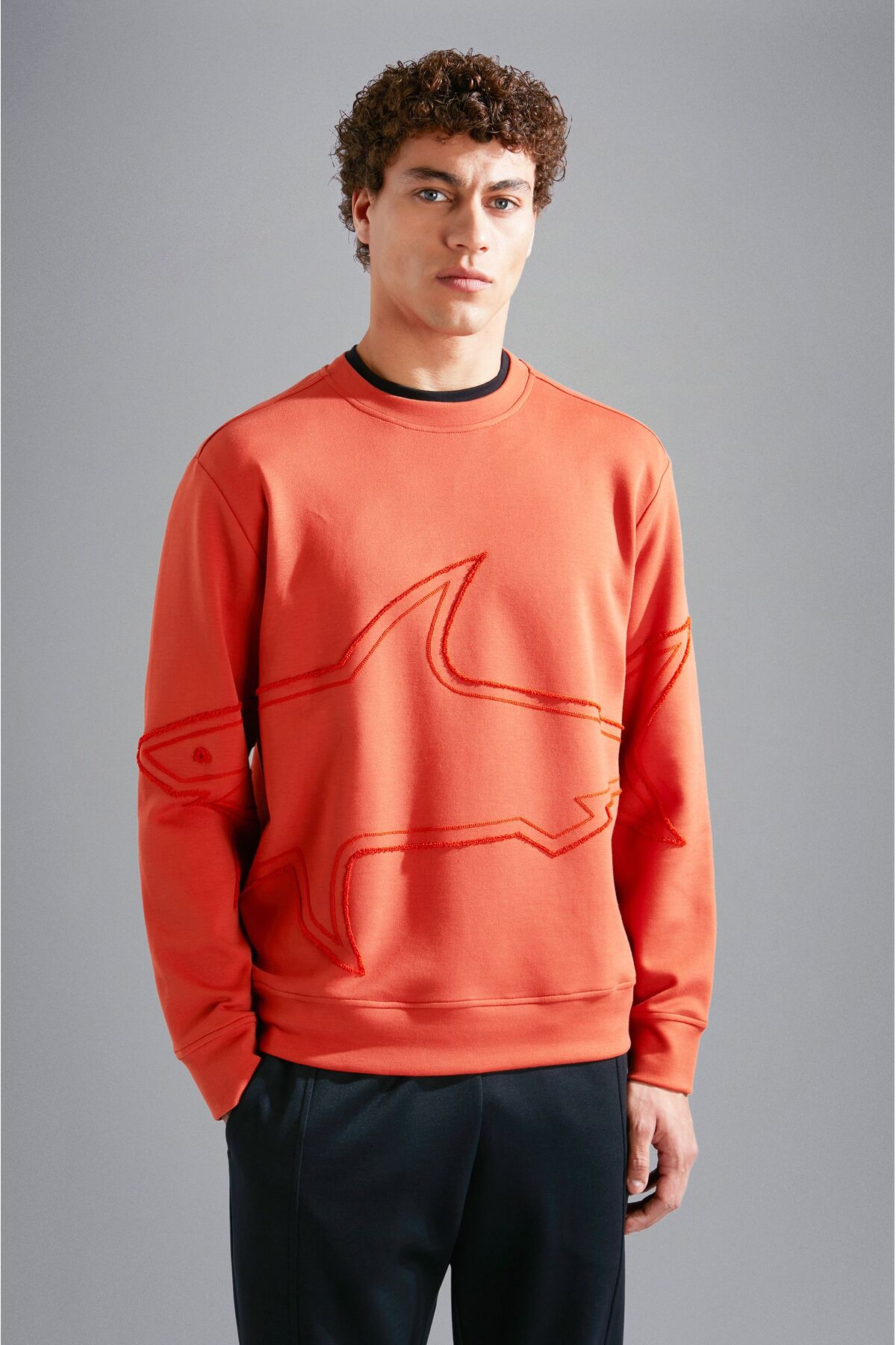 پال اند شارک سویشرت بافتنی مردانه C.W. نخی