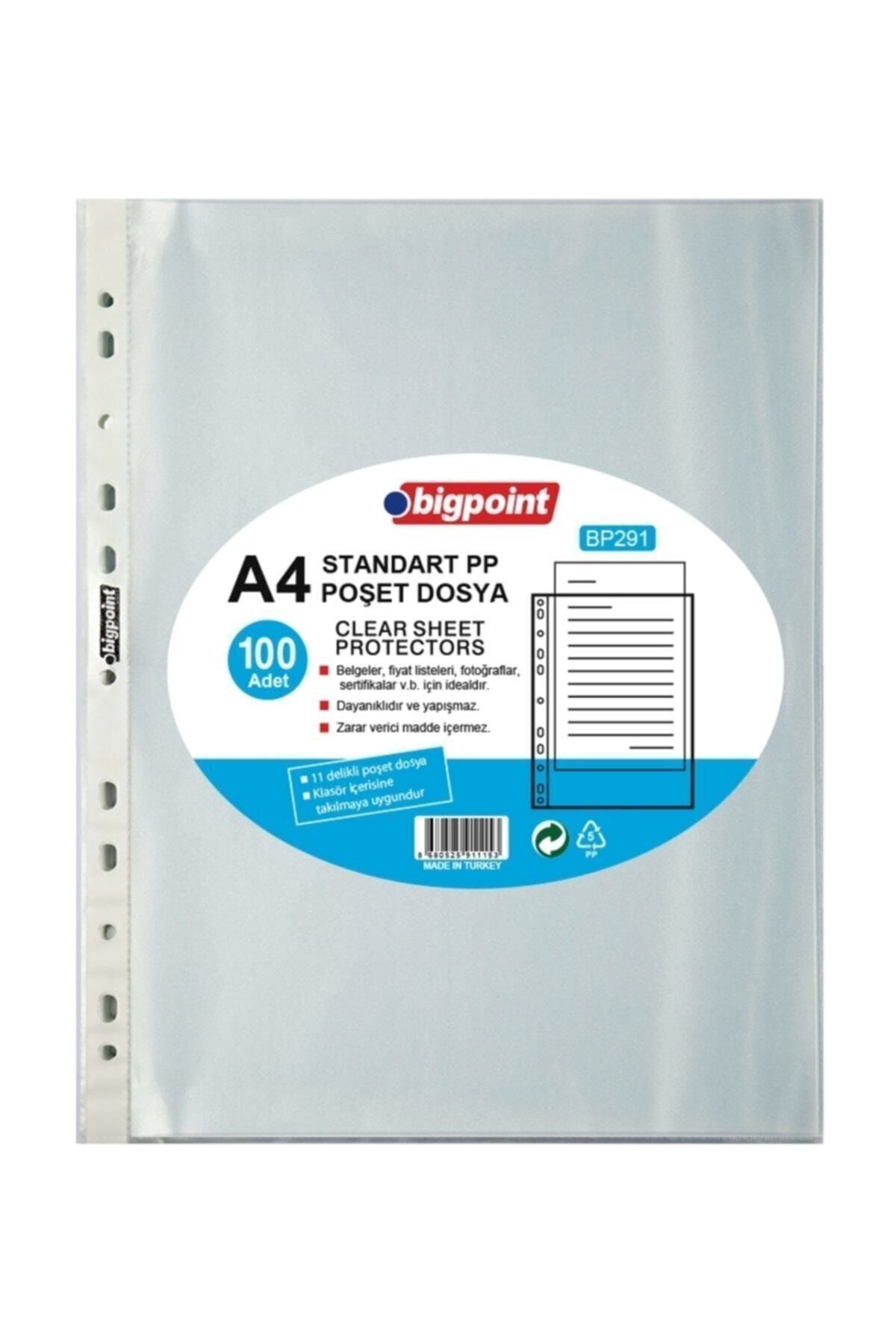 Bigpoint-Bp291 A4 Bag File (PACK OF 100) 1
