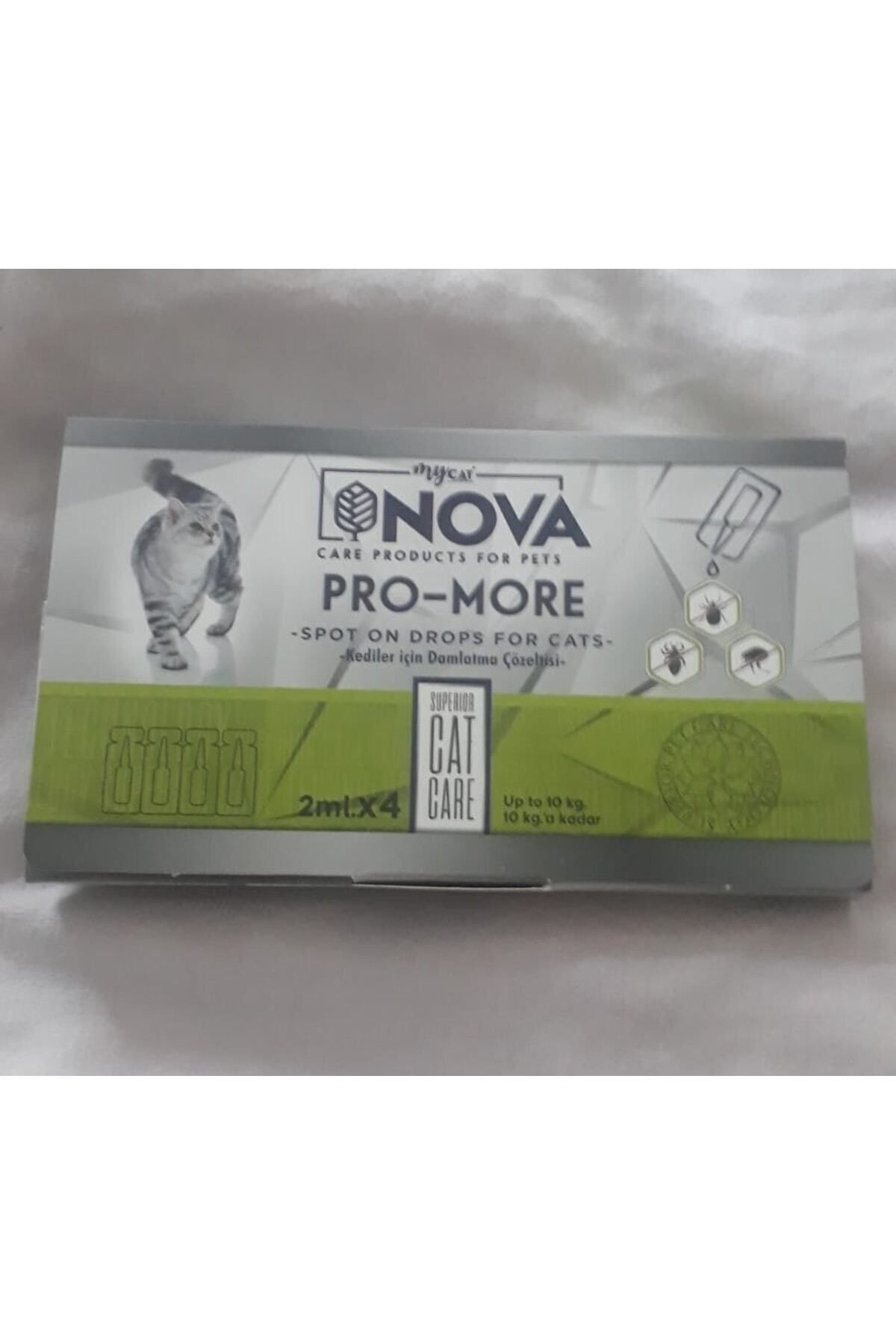 Nova Kedi Için Bit Için Damla