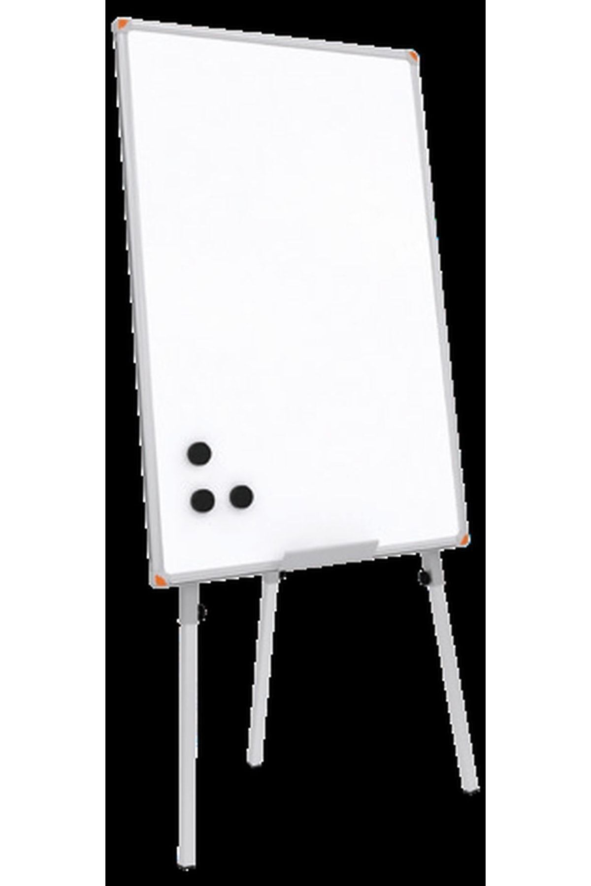 Panda 80x120 Cm Mıknatıslı Yüzey Yazı Tahtası Teleskopik Ayaklı