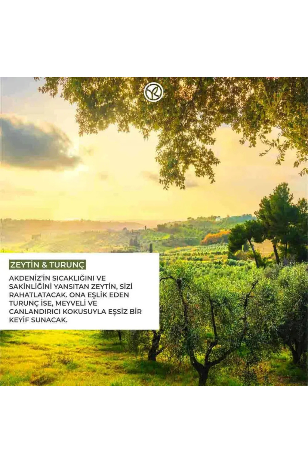 ژل و کرم دوش زنانه – مردانه  Yves Rocher | GL323141 اورجینال - تصویر 4