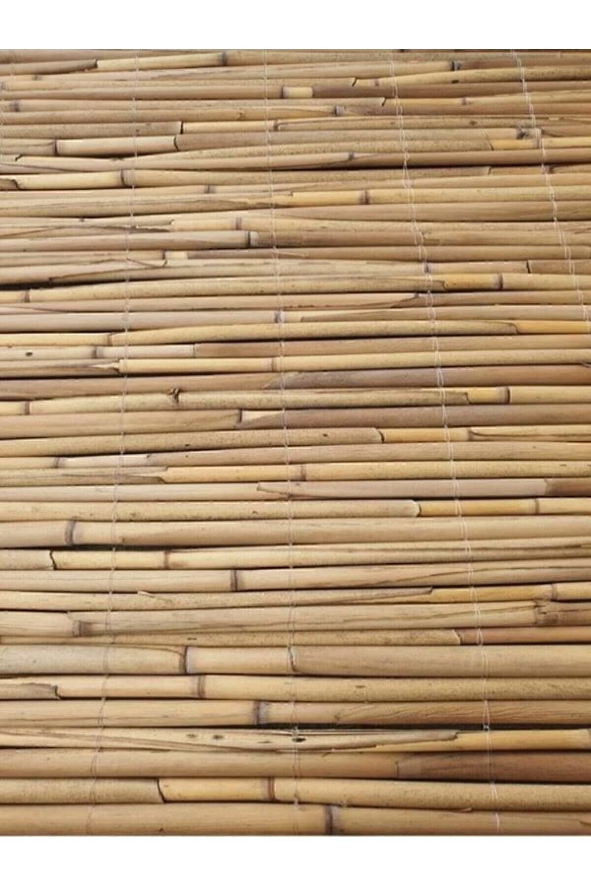 Kamış Çit Kamış Hasır Kamış Bambu 1*5 Metre Gölgelik Doğal Kamış Hasır Çit- Gölgelik- Rüzgar Perdesi 4