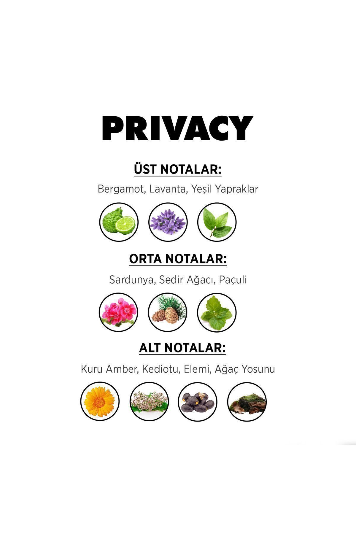 https://cdn.dsmcdn.com/ty1527/product/media/images/prod/QC/20240907/09/529d9cb0-f19c-3c1c-9ba5-0d6de2a99c28/1_org_zoom.jpg
