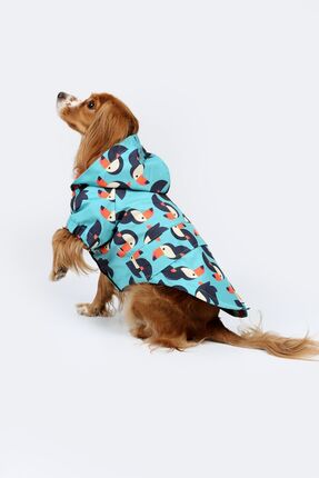 Petperson Toucan Roll Köpek Yağmurluğu/montu - Köpek Kıyafeti