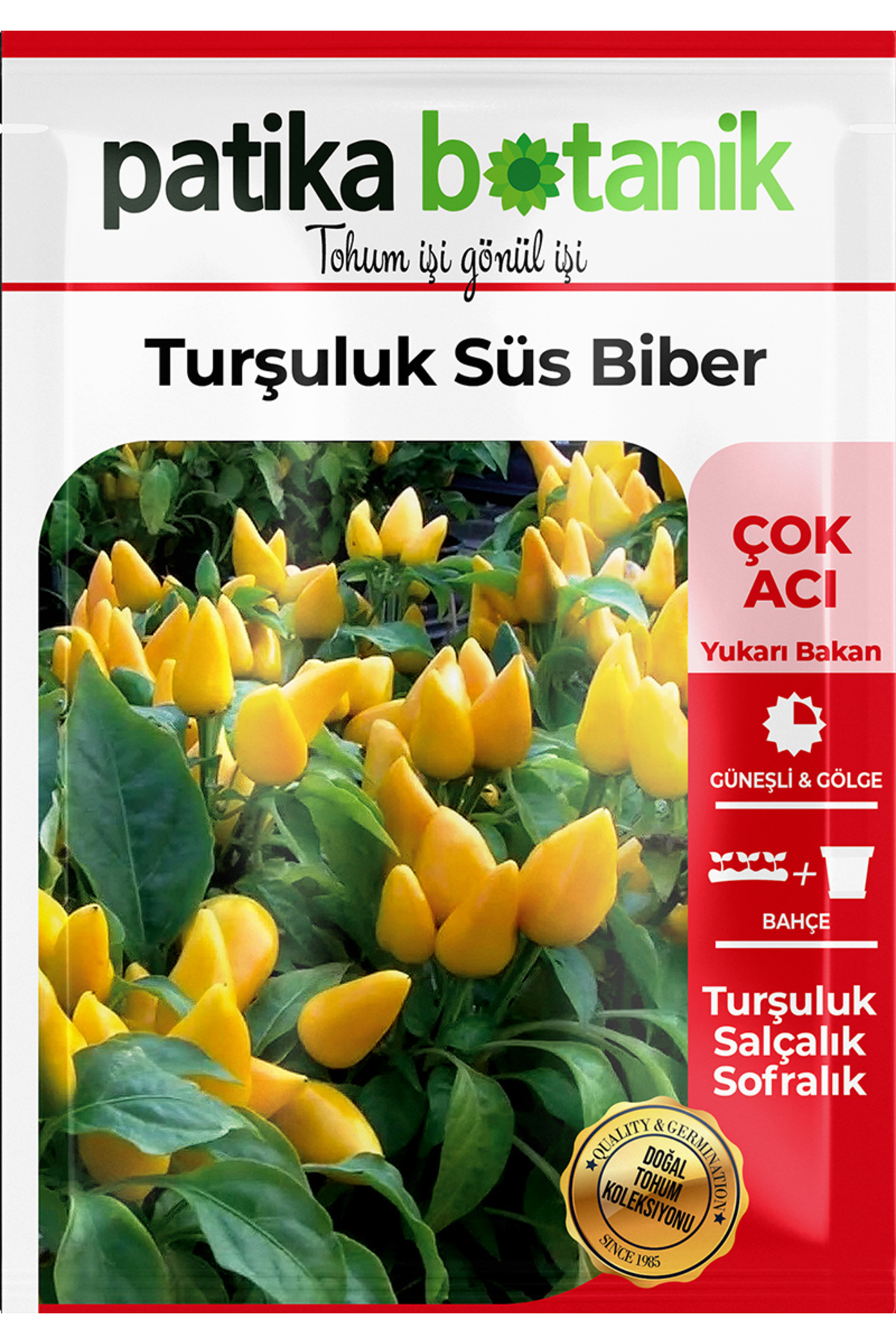 200 Adet Turşuluk Süs Biber Tohumu 2