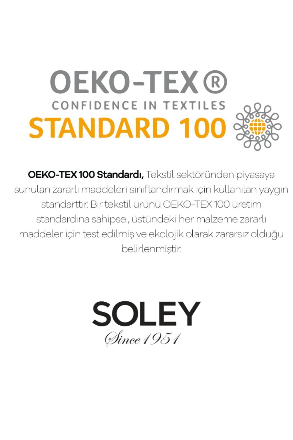 https://cdn.dsmcdn.com/ty1528/product/media/images/prod/QC/20240906/14/52a6332e-86d1-3ad6-95cb-f73460ff13f7/1_org_zoom.jpg