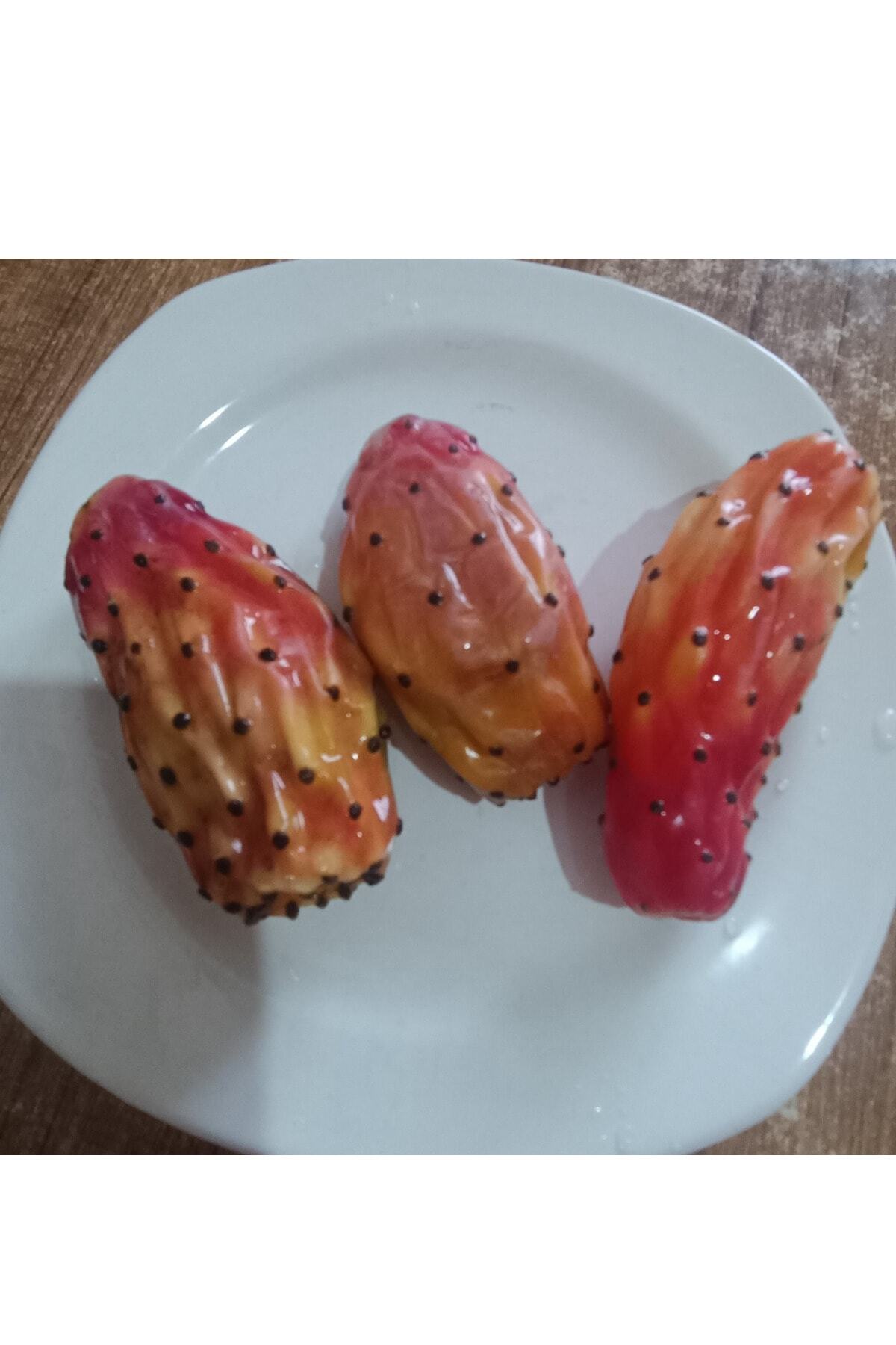 Dikenli Incir Hint Inciri Frenk Inciri Papuç Inciri Tek Lob Saksisiz 2
