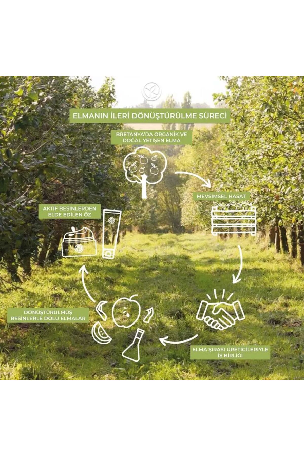 ژل و کرم دوش زنانه – مردانه  Yves Rocher | GL323139 اورجینال - تصویر 5