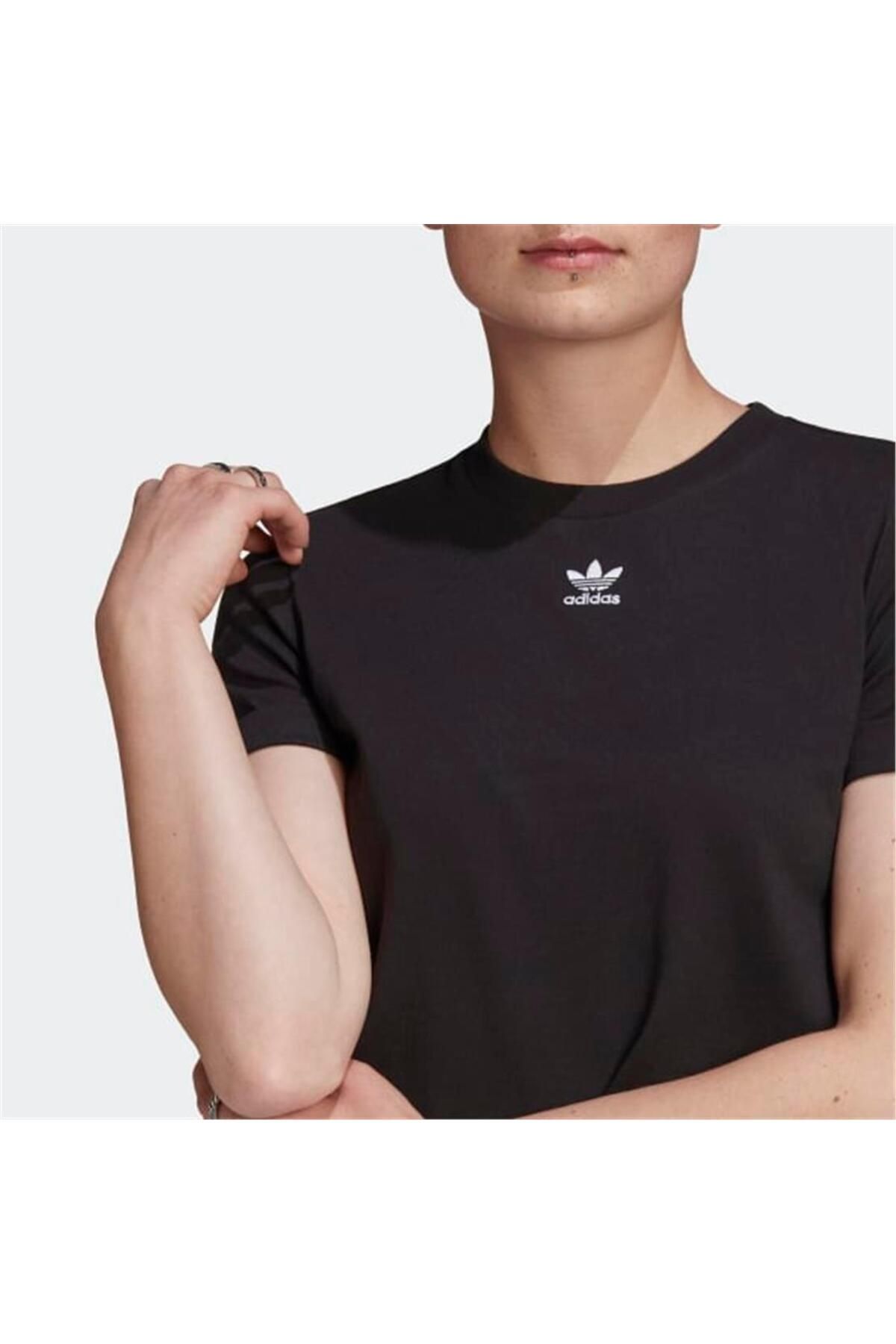 T shirt cropped adidas deals