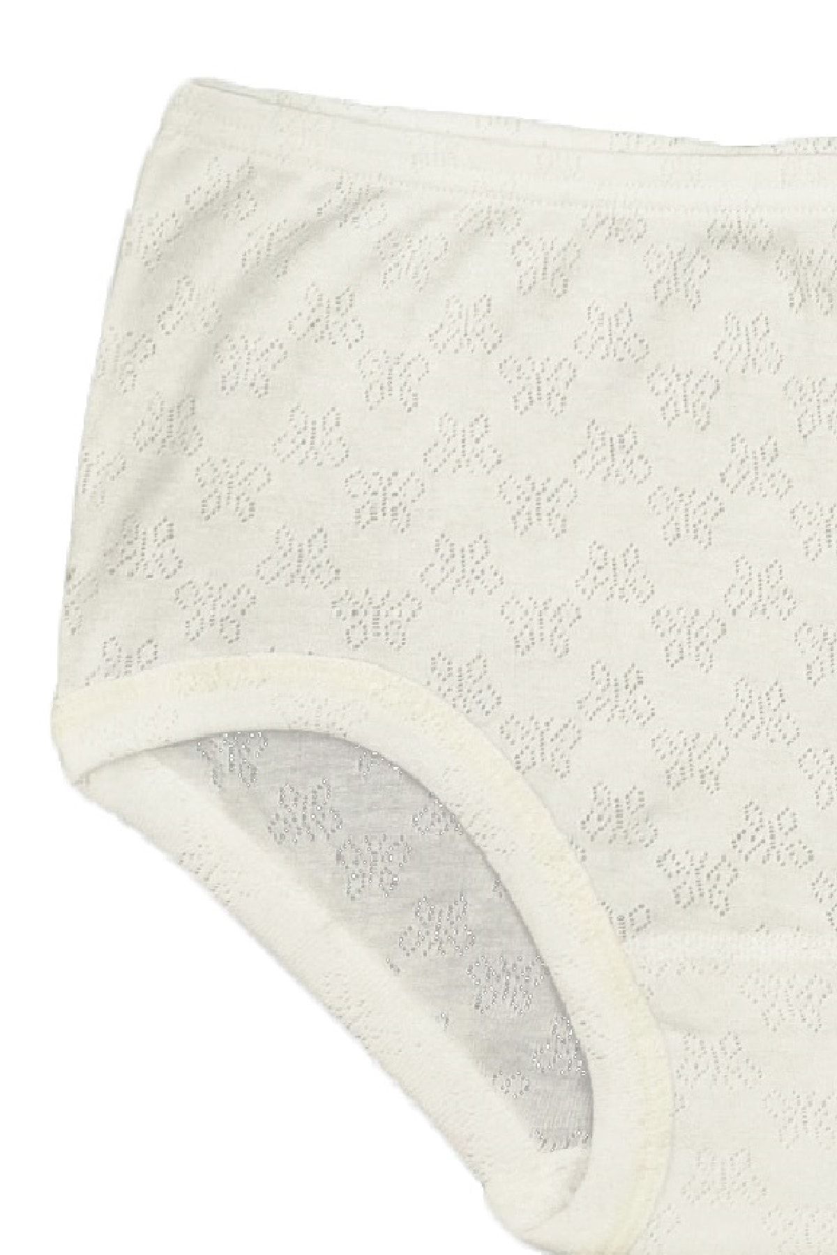 FSM1453-Women's Cotton Transfer Ribana Bato High Waist Elastic Slip Panties - 3009 2