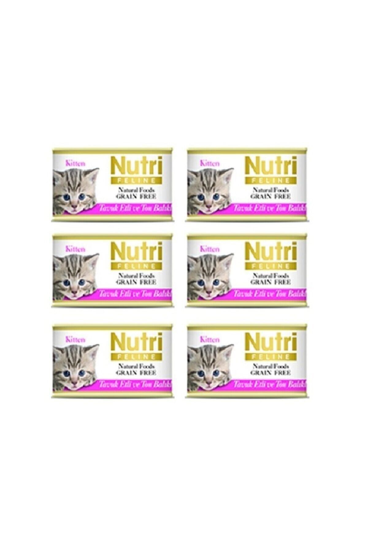 Nutri deals feline kitten