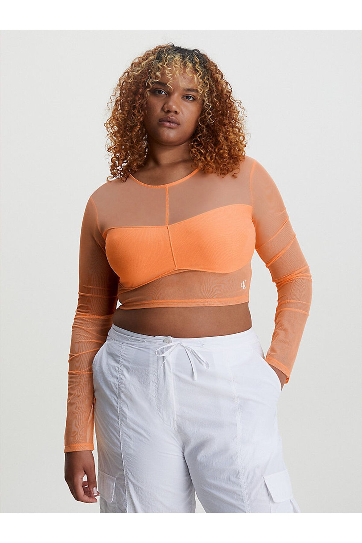 Cropped mesh long sleeve top on sale