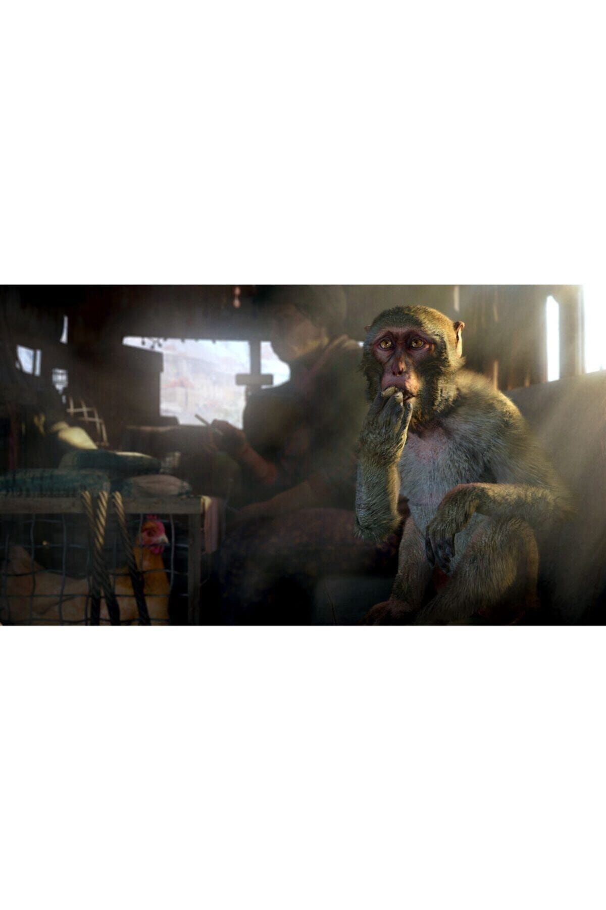 Ubisoft Ps4 Farcry 4