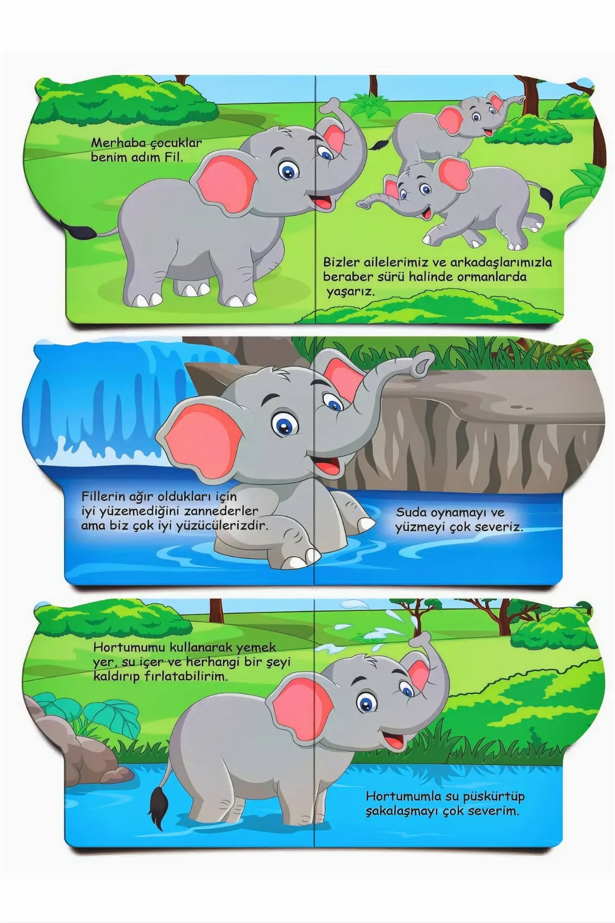 Apexma 6'lı Ben Kim Hayvanlar Eğitici Kitap -  Çocuklar İçin Resimli 6 Adet Eğitici Aktivite Kitaplar Seti fotoğrafı 5 (önizleme)