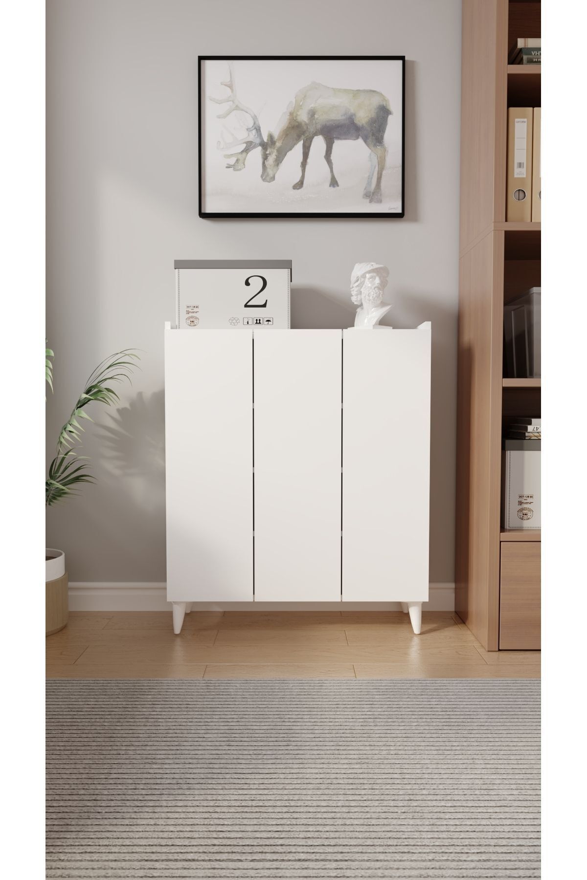 Muhteşem Çok Amaçlı Dolap modeli dekorasyonu