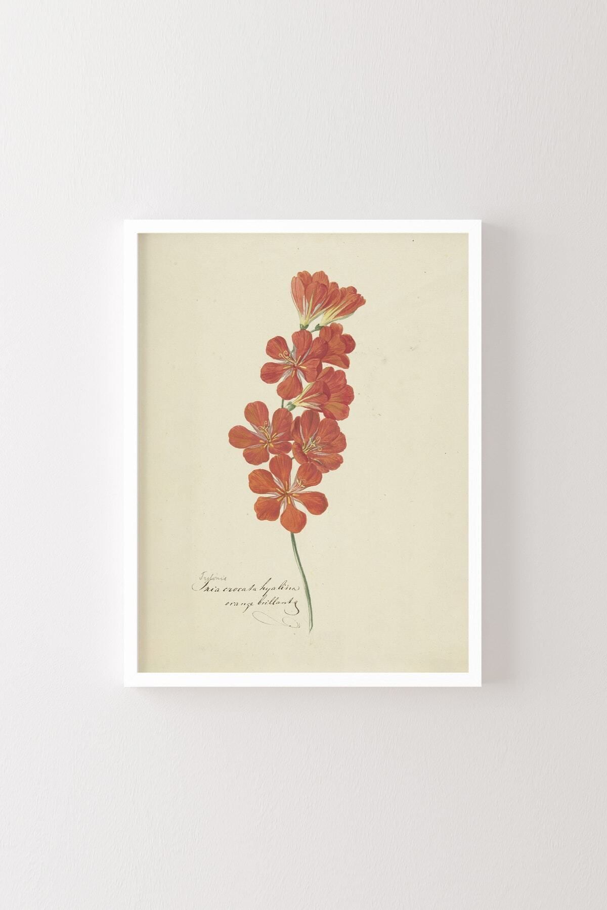 Red Flowers - White Frame